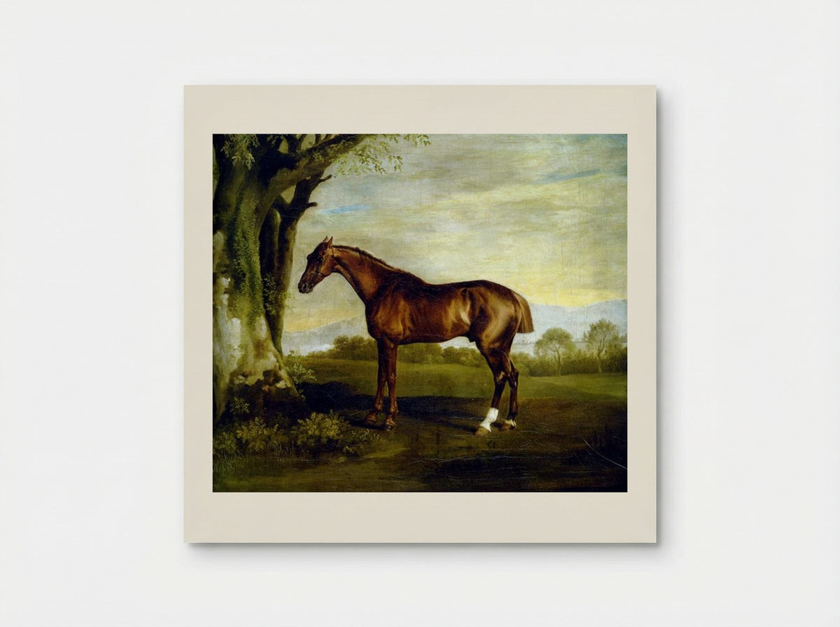 A Chestnut Racehorse - George Stubbs - Poster