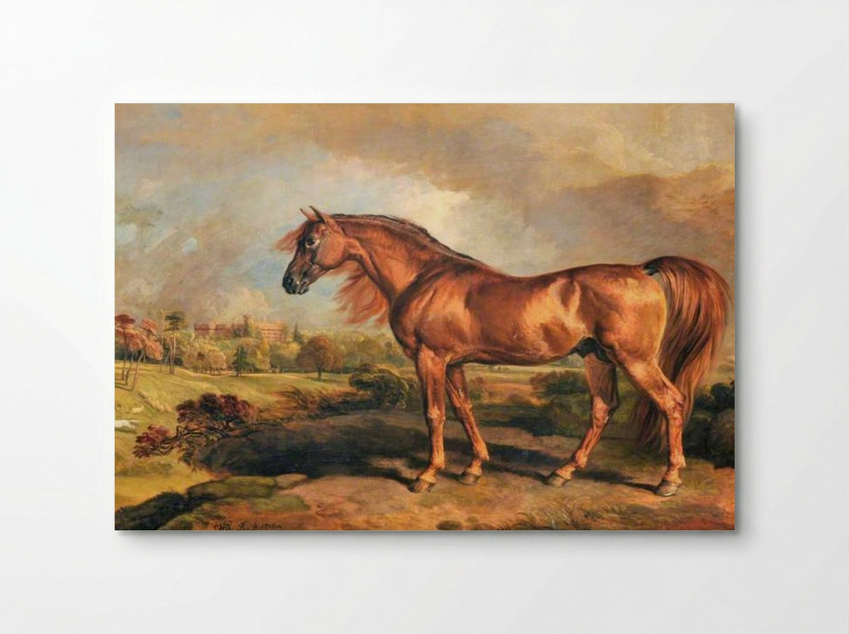 A Chestnut Stallion in the Grounds of Powis Castle - James Ward - Poster
