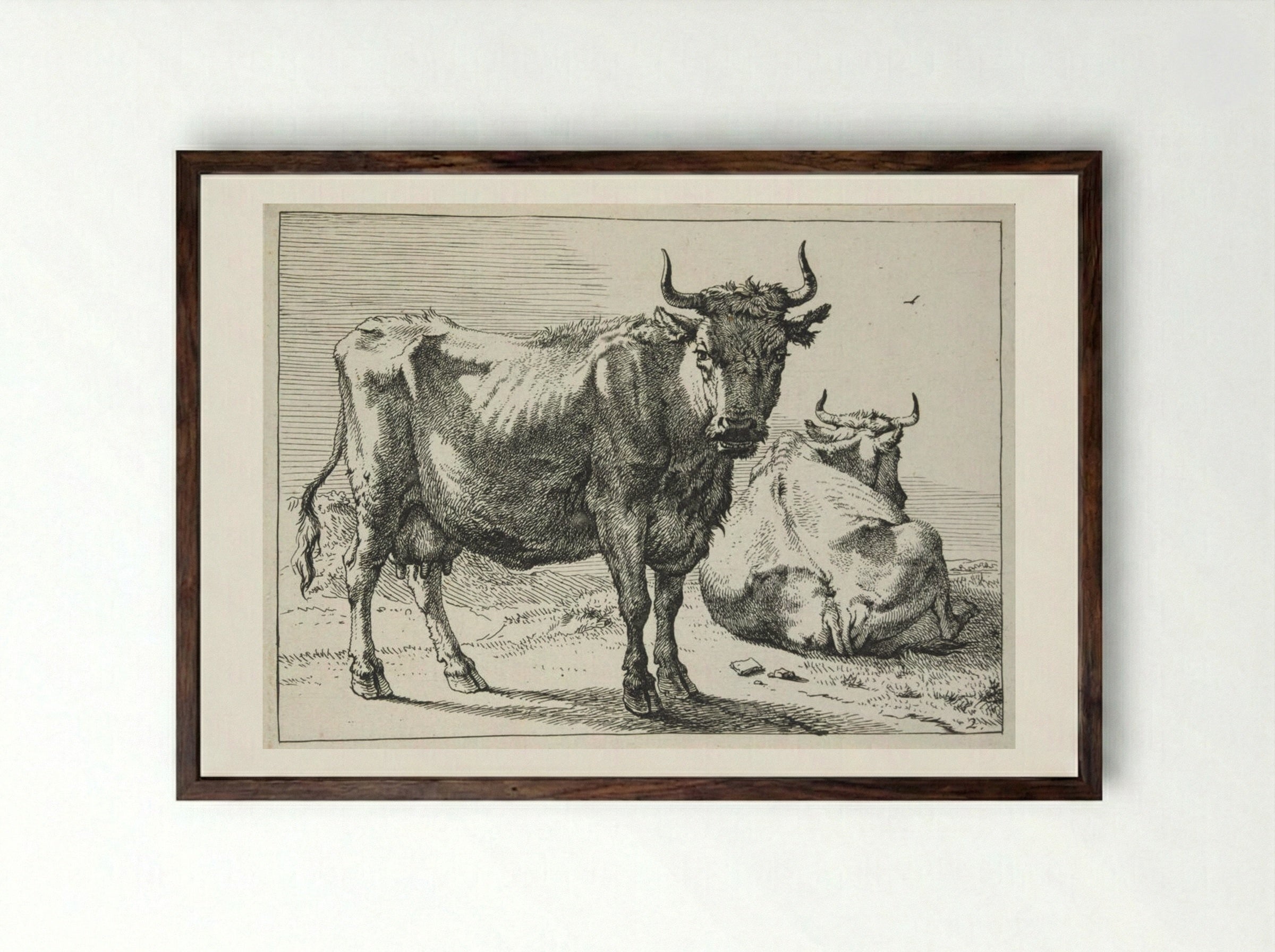 A Cow Standing and Another Lying Down - Paulus Potter - Framed Print Dark Wood