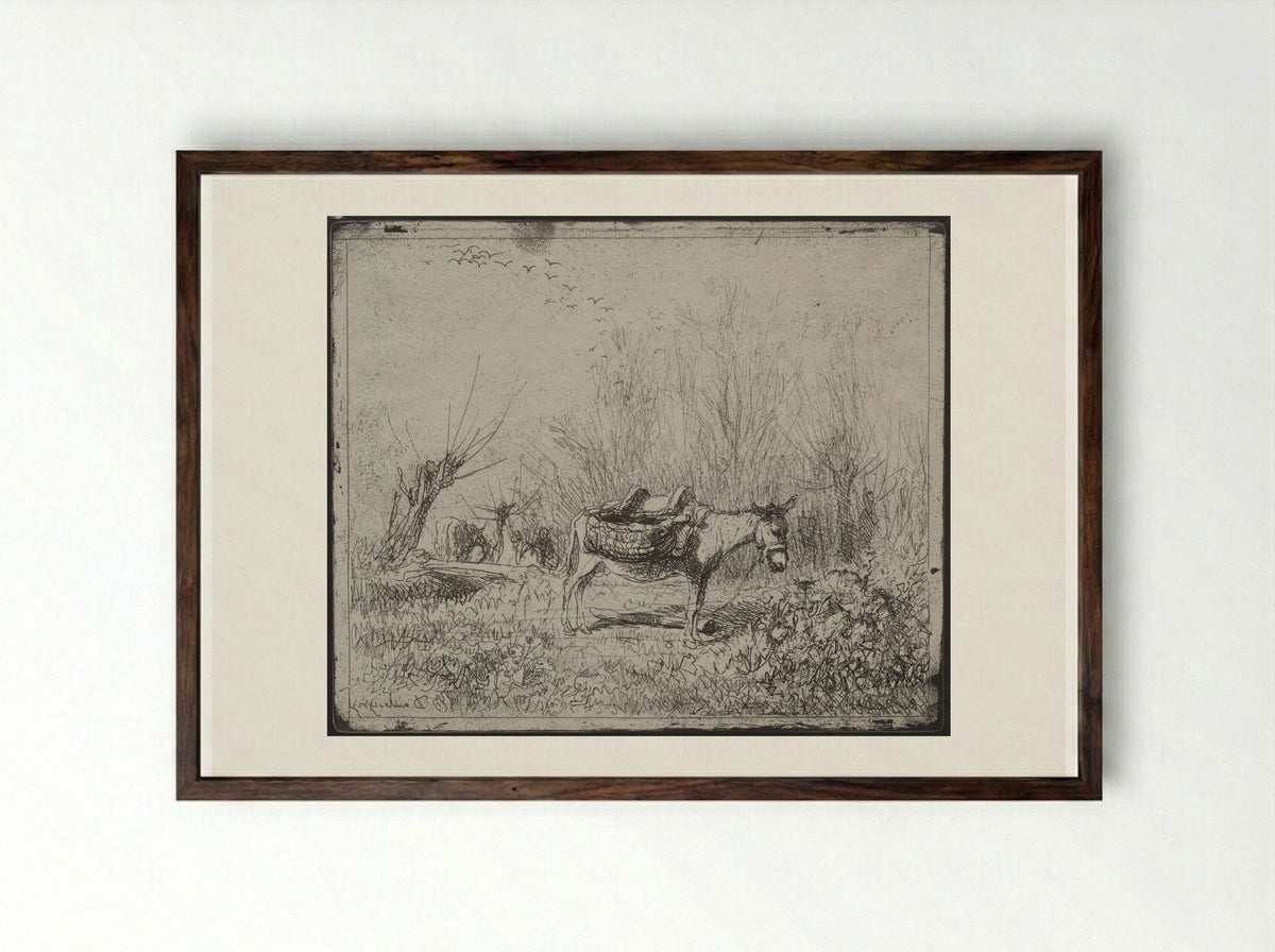 A Donkey in the Field - Charles-François Daubigny - Framed Print Dark Wood