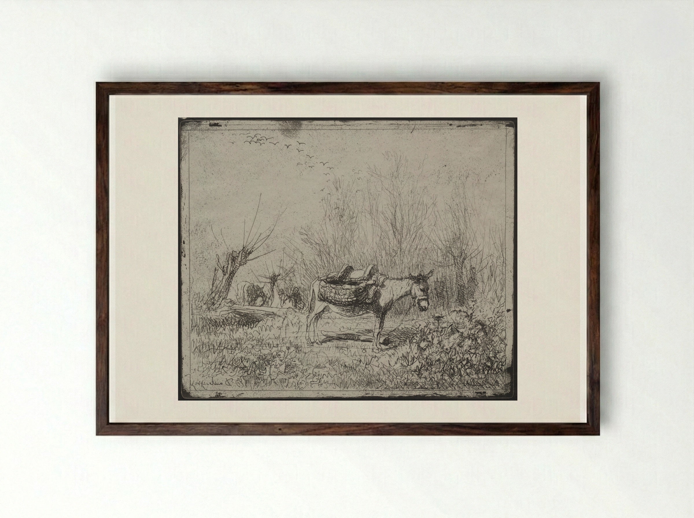 A Donkey in the Field - Charles-François Daubigny - Framed Print Dark Wood