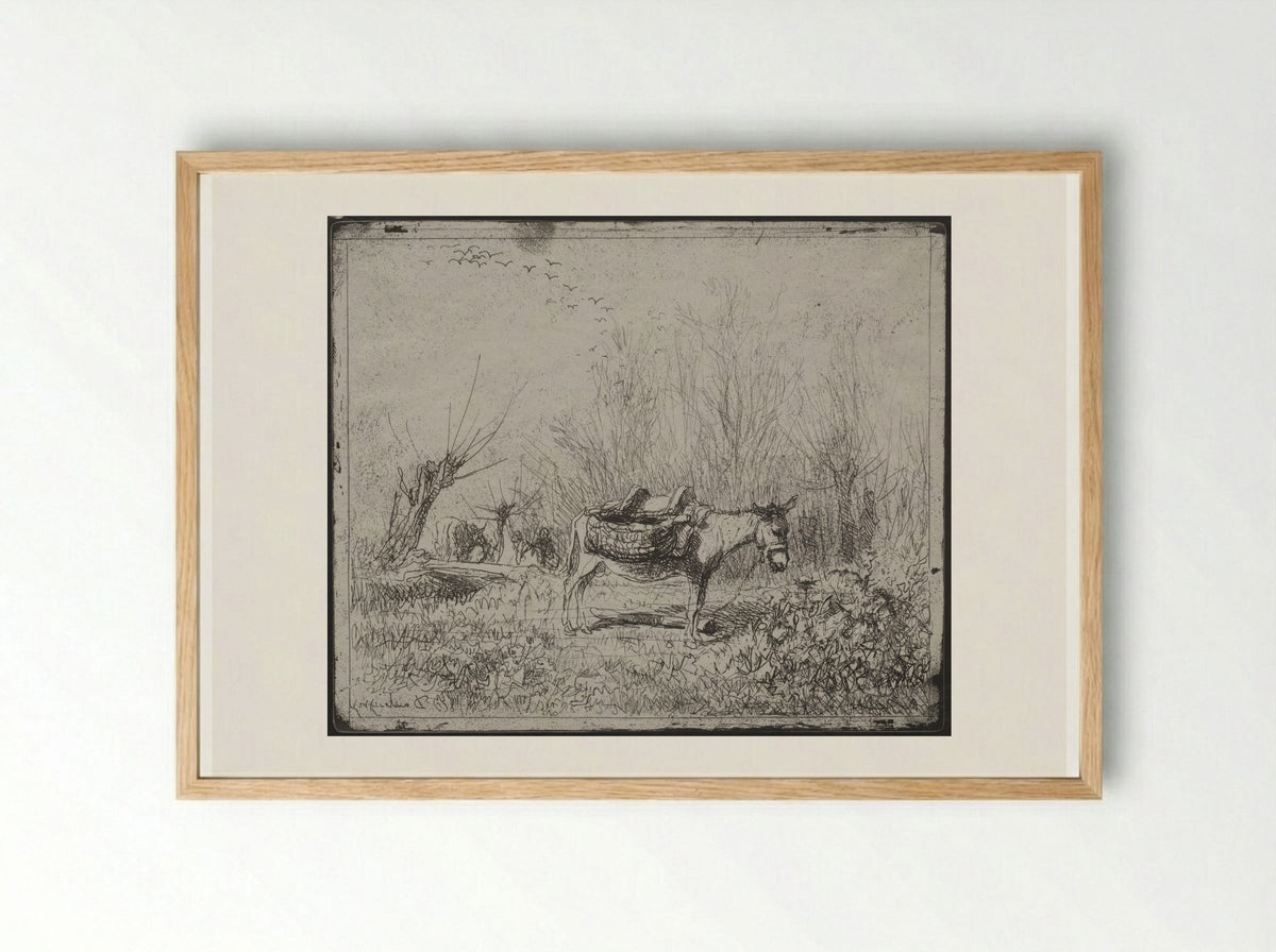 A Donkey in the Field - Charles-François Daubigny - Framed Print Wood