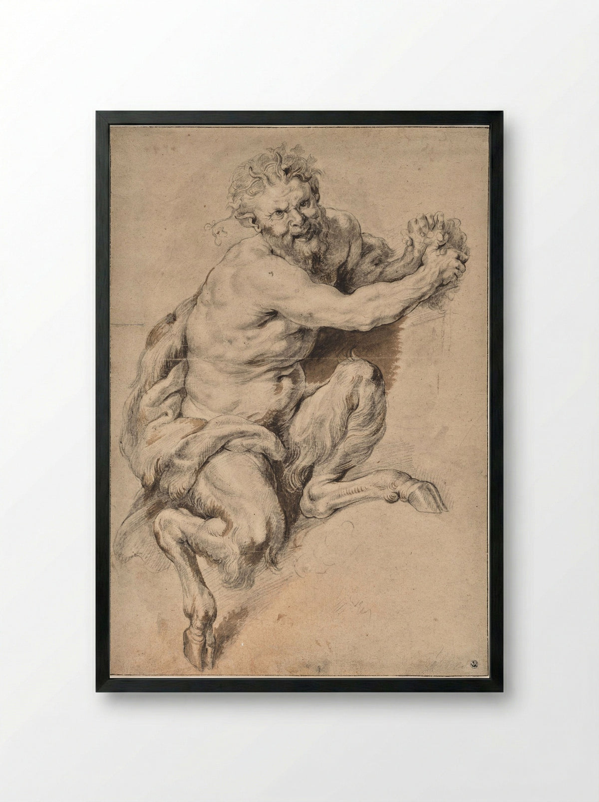 A Faun Grasping a Bunch of Grapes - Peter Paul Rubens - Framed Print Black