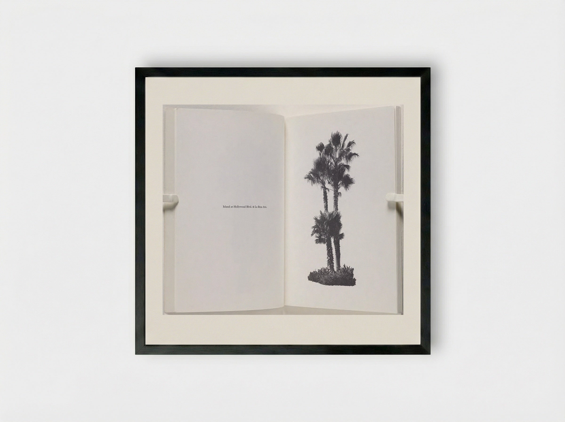 A Few Palm Trees - Edward Ruscha - Framed Print Black