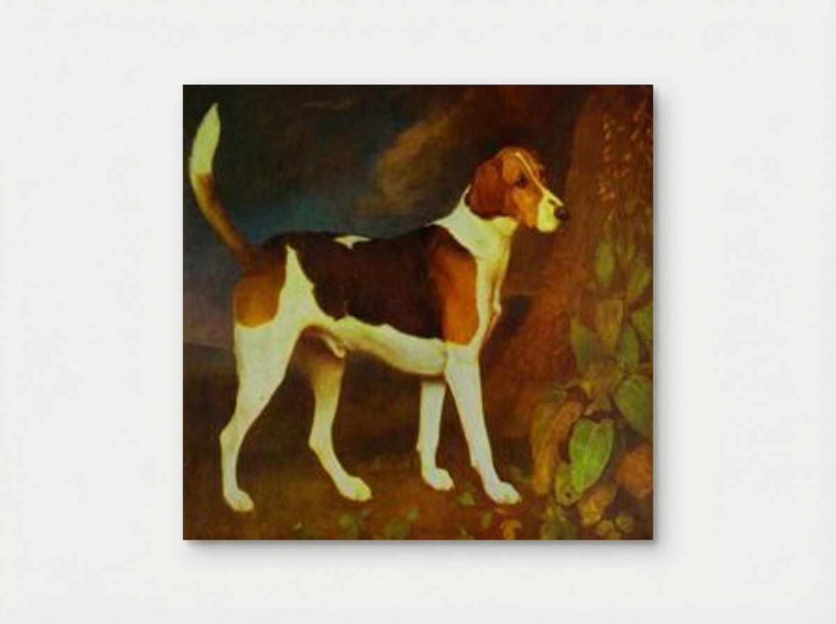 A Foxhound, Ringwood - George Stubbs - Poster