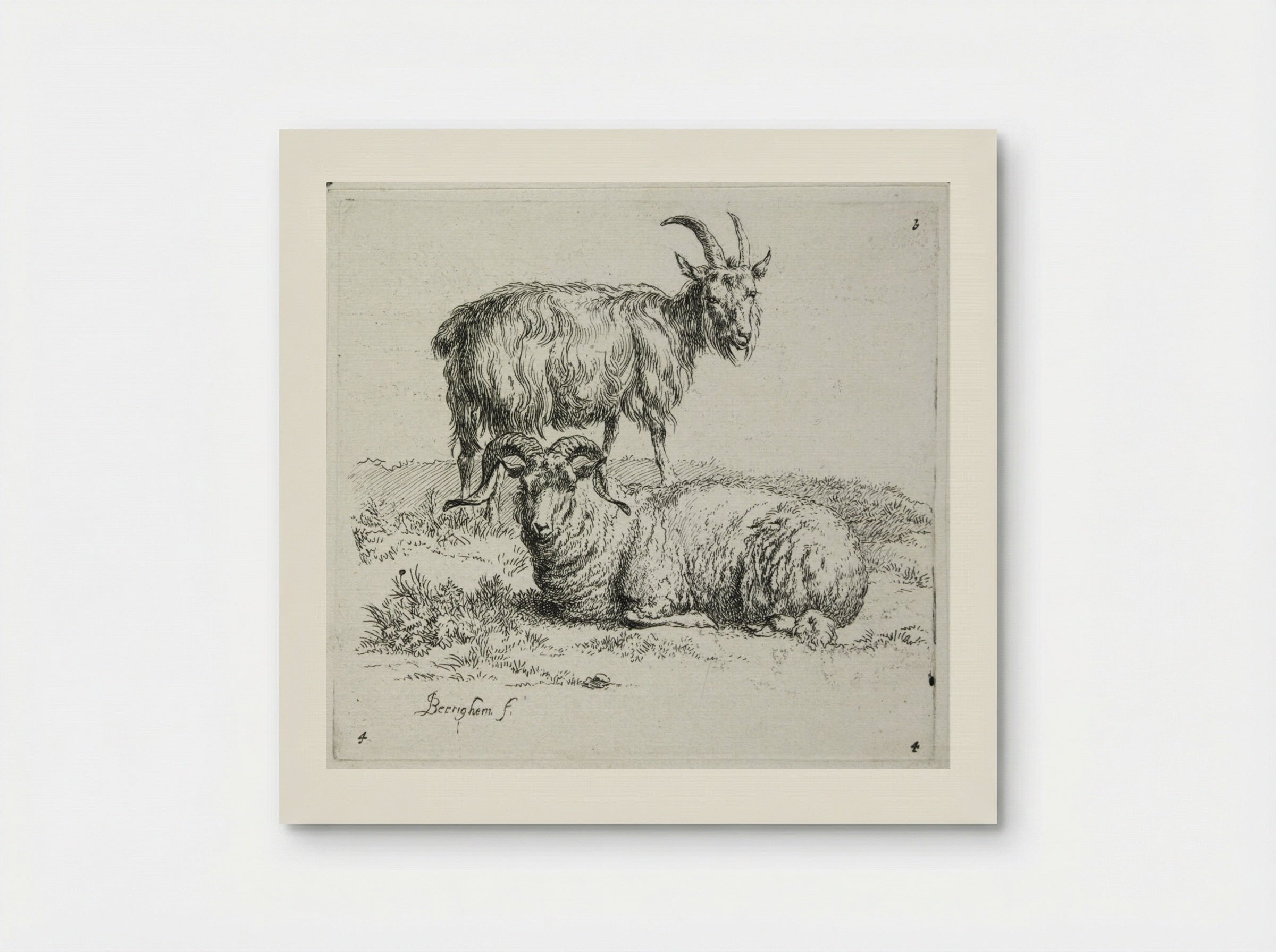 A Goat and a Ram - Nicolaes Berchem - Poster