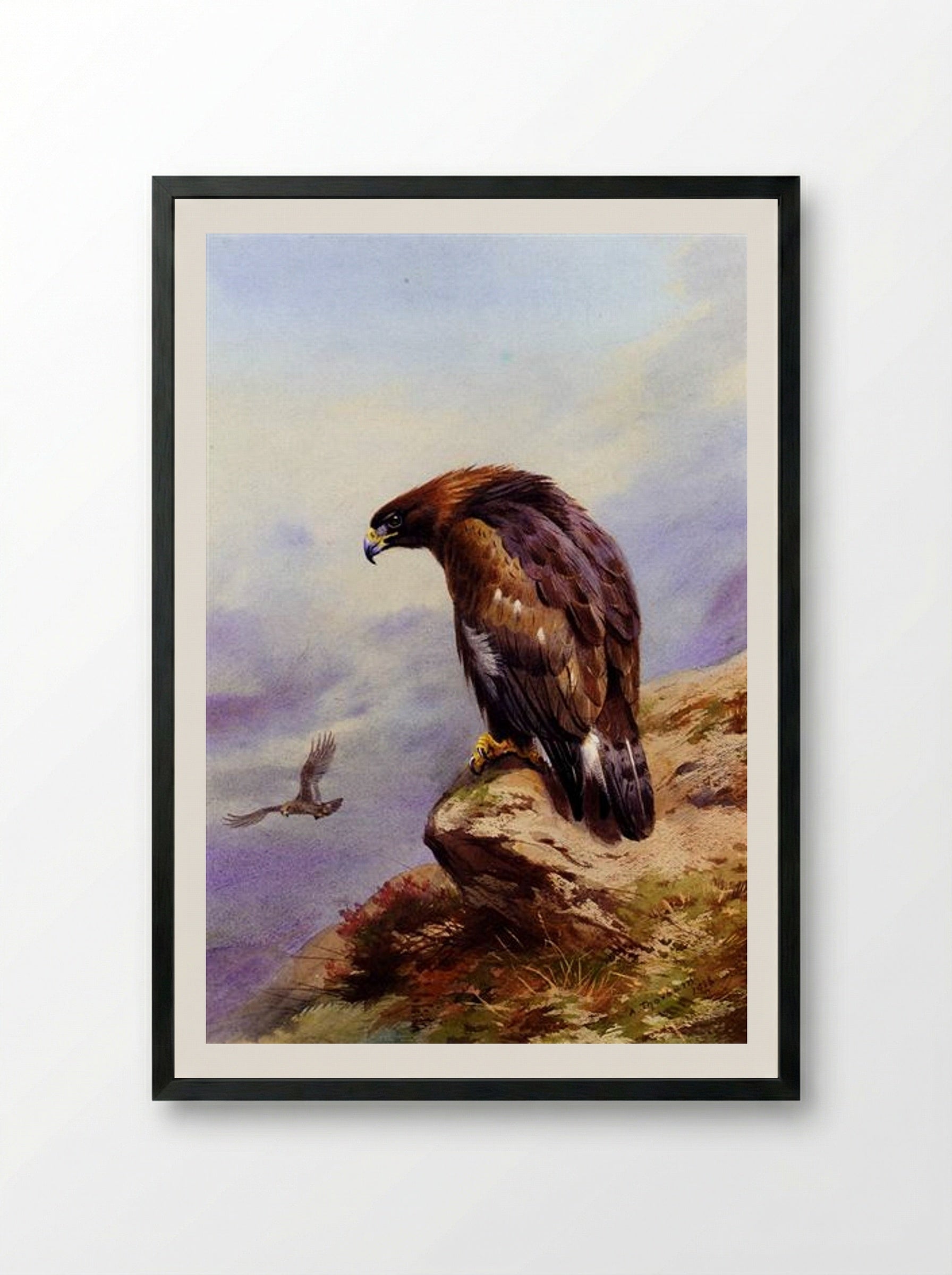 A Golden Eagle - Archibald Thorburn - Framed Print Black