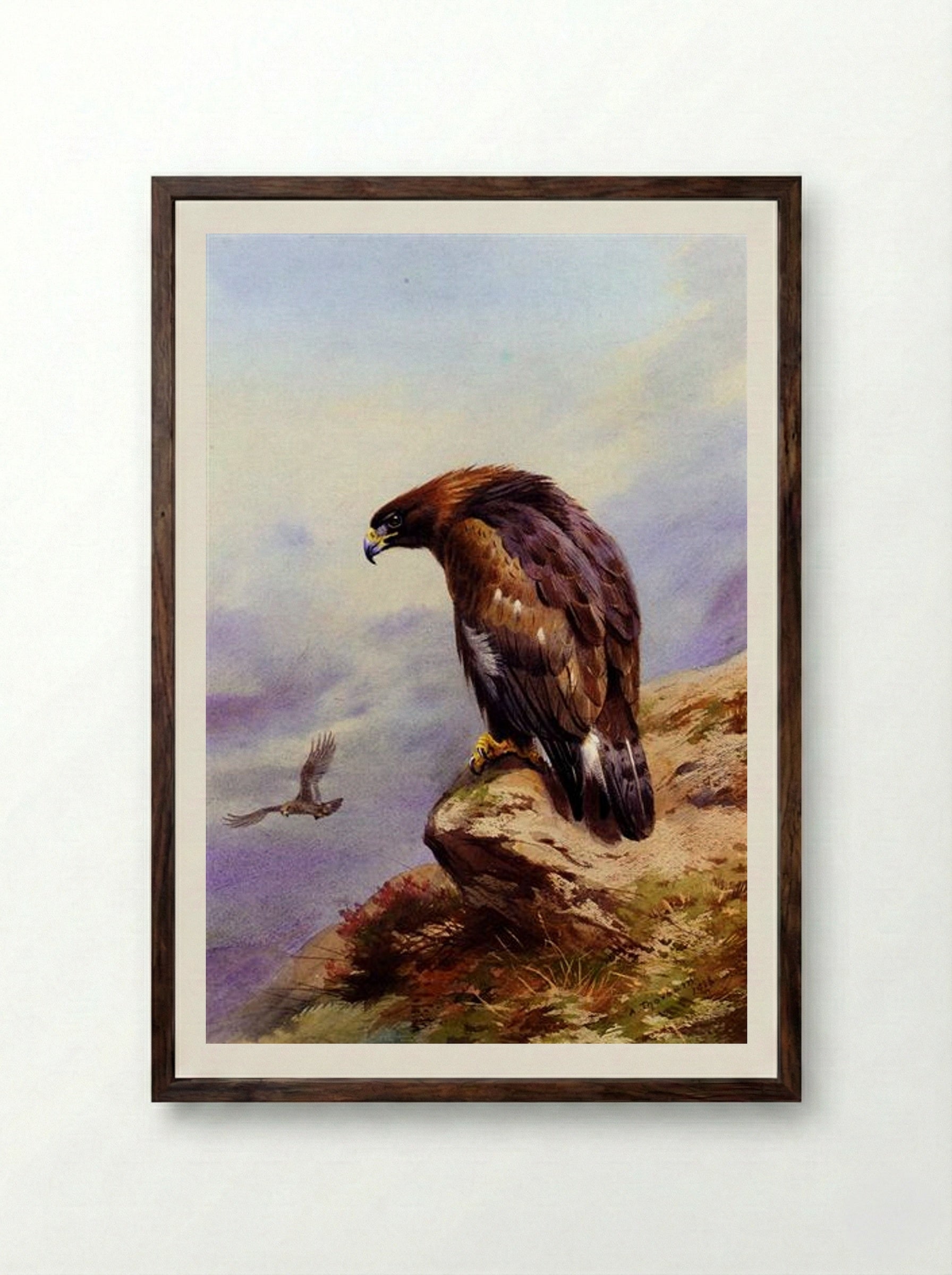A Golden Eagle - Archibald Thorburn - Framed Print Dark Wood