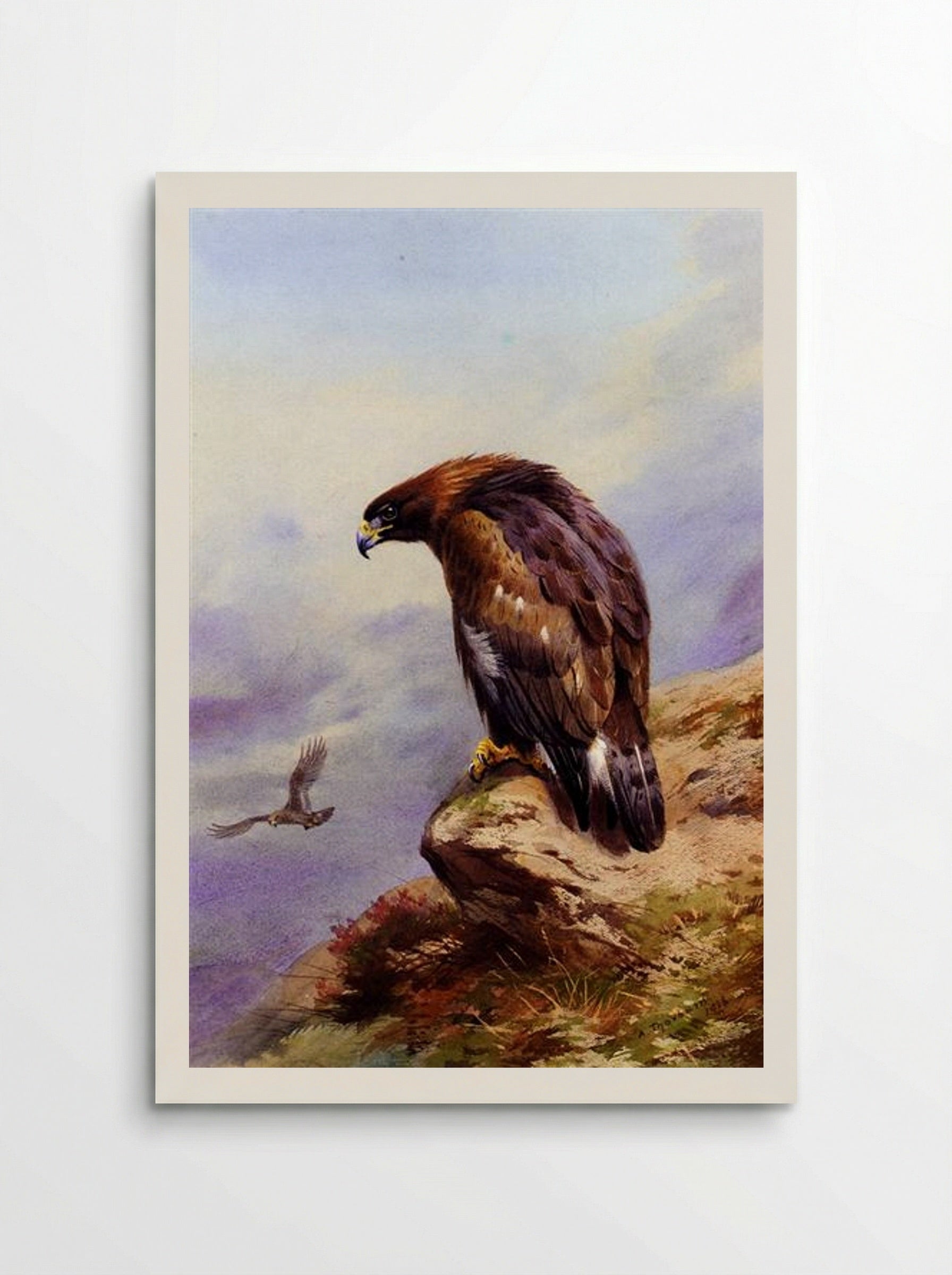 A Golden Eagle - Archibald Thorburn - Poster