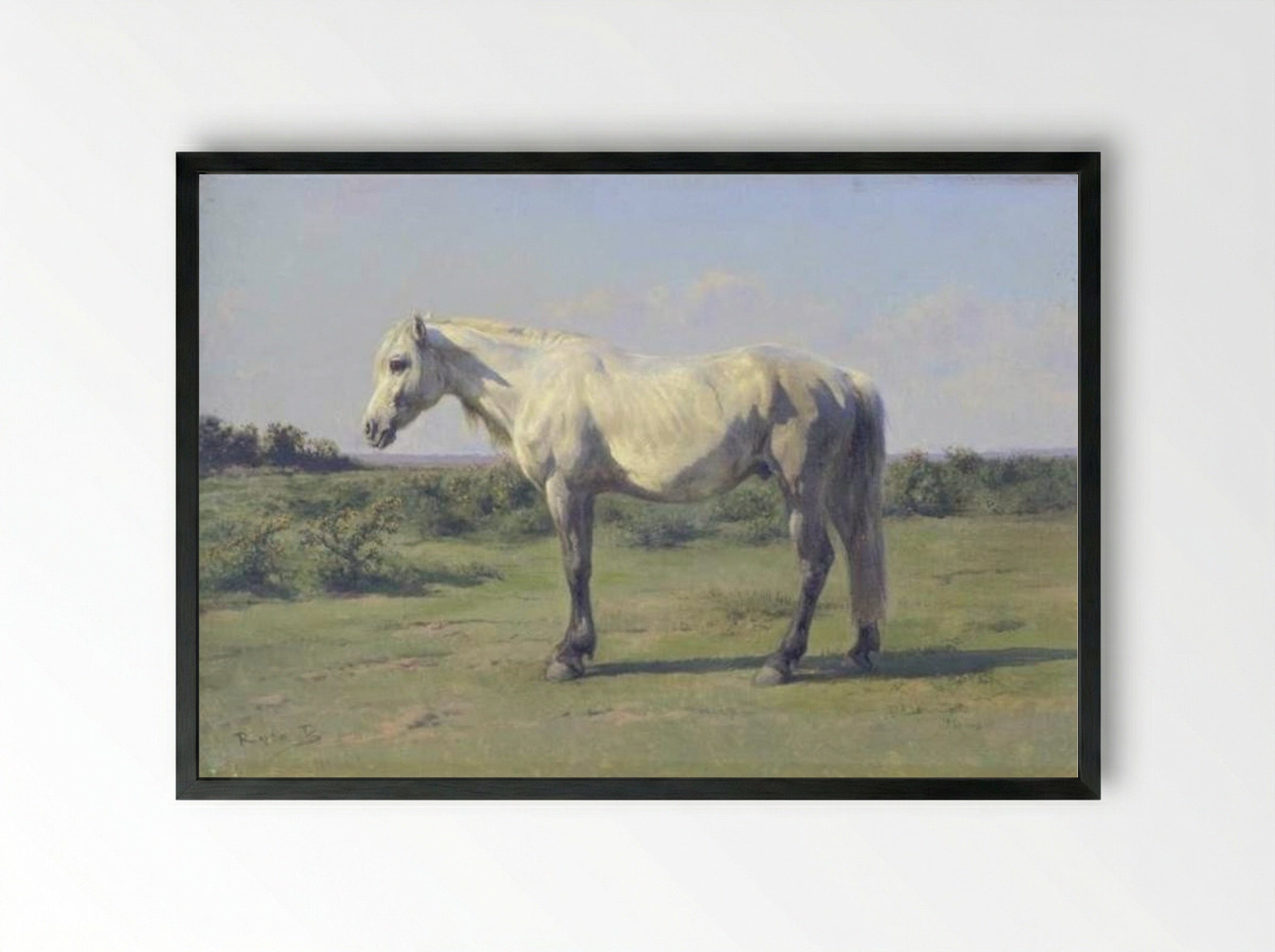 A Grey Horse in a Field - Rosa Bonheur - Framed Print Black