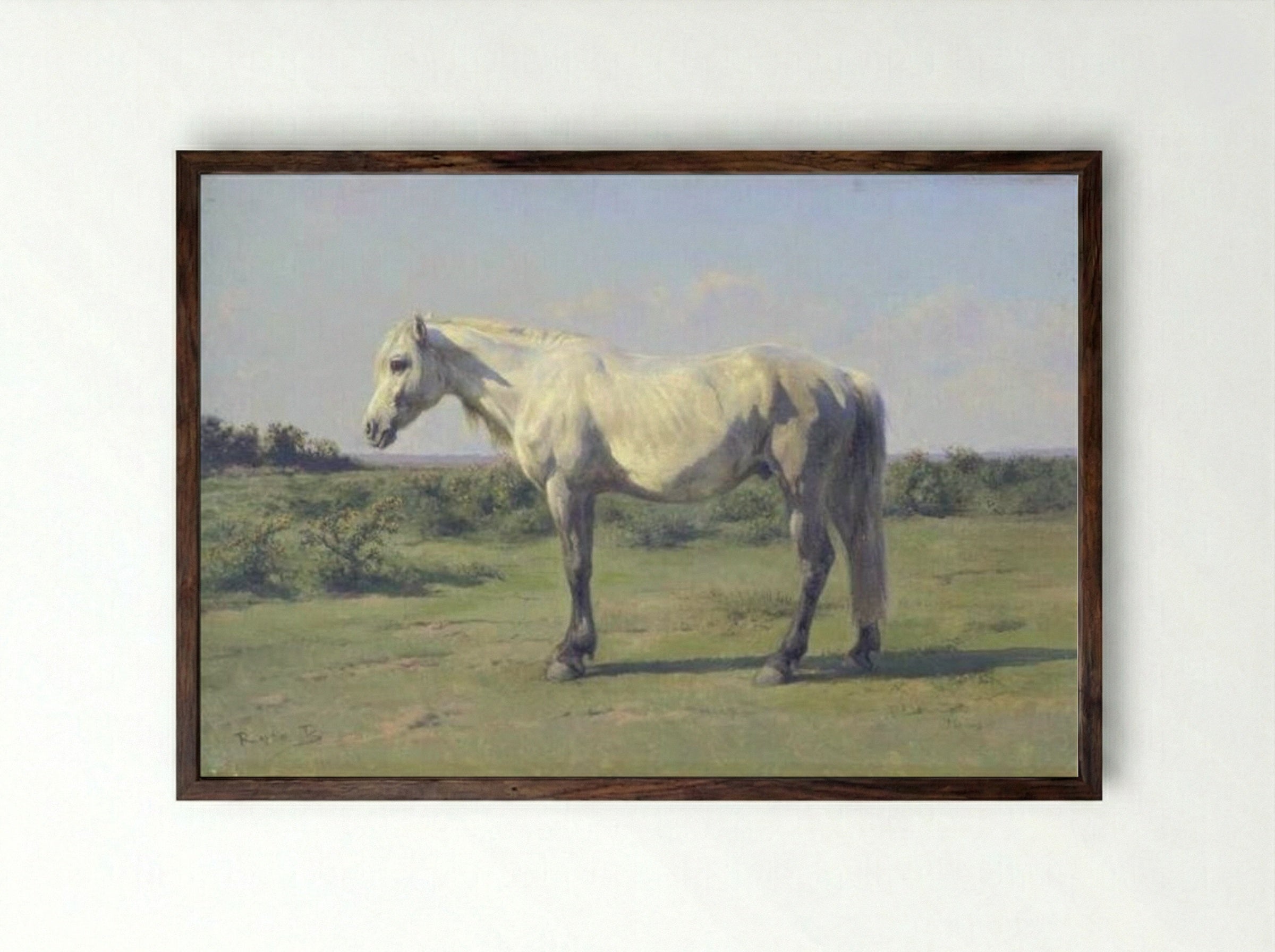 A Grey Horse in a Field - Rosa Bonheur - Framed Print Dark Wood