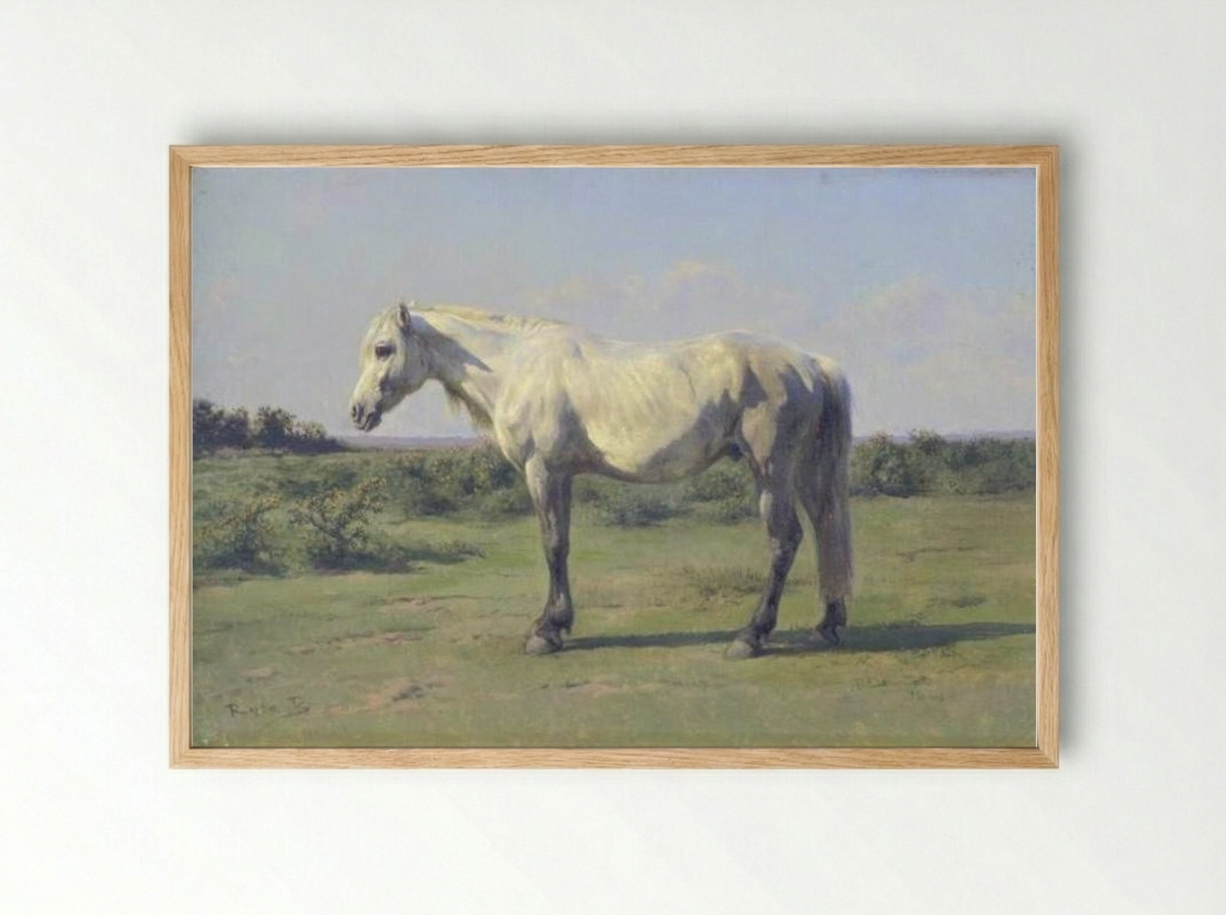 A Grey Horse in a Field - Rosa Bonheur - Framed Print Wood