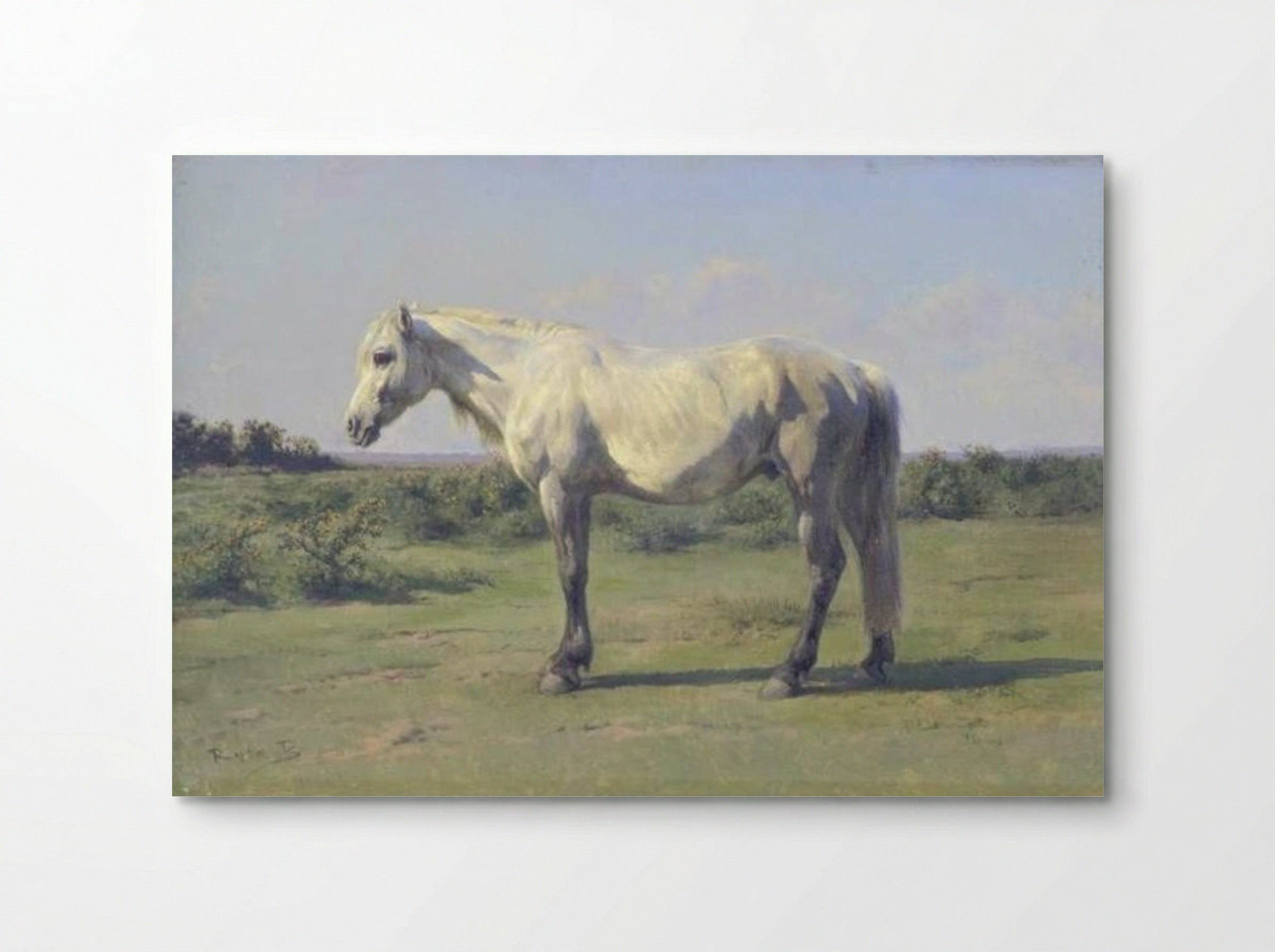 A Grey Horse in a Field - Rosa Bonheur - Poster