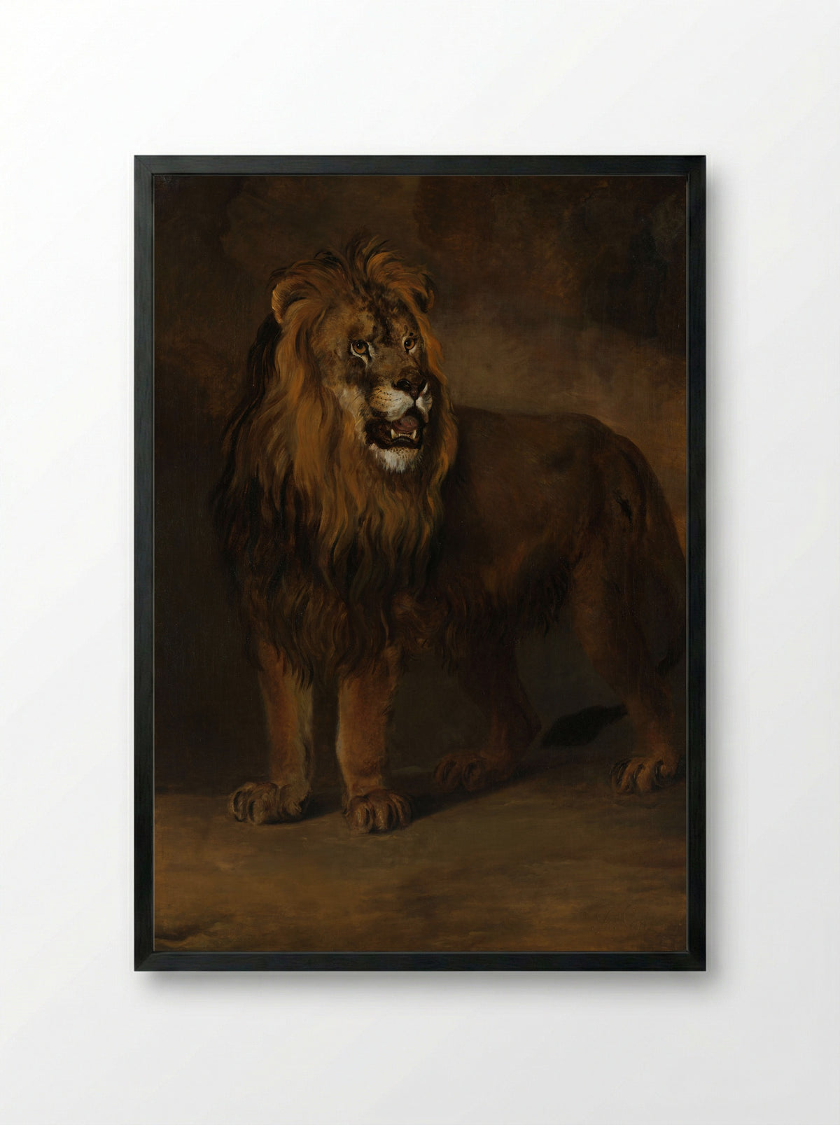 A Lion from the Menagerie of King Louis Napoleon - Pieter Gerardus van Os - Framed Print Black