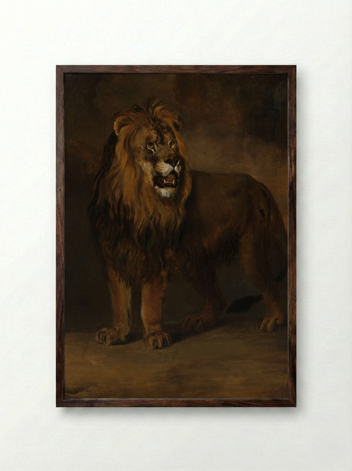 A Lion from the Menagerie of King Louis Napoleon - Pieter Gerardus van Os - Framed Print Dark Wood