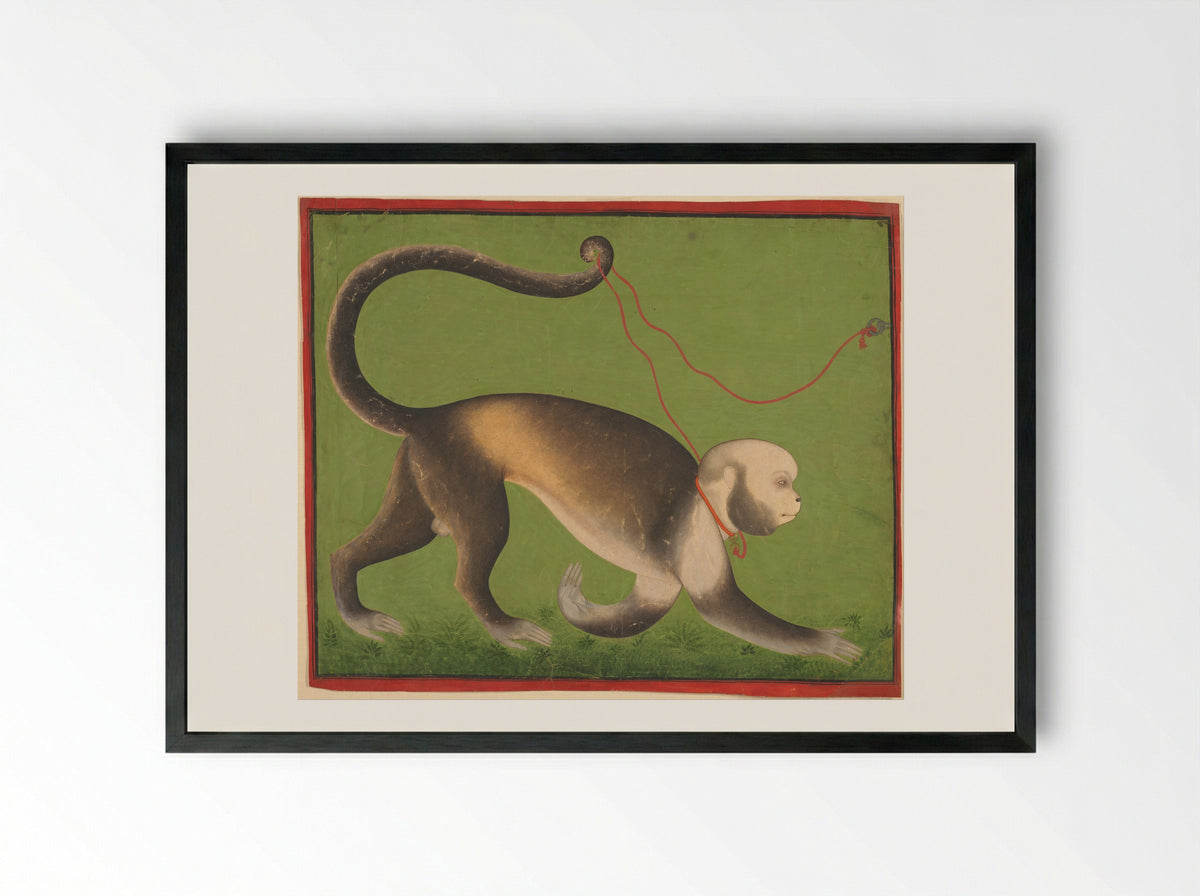 A Monumental Portrait of a Monkey - Unknown Indian Artist - Framed Print Black