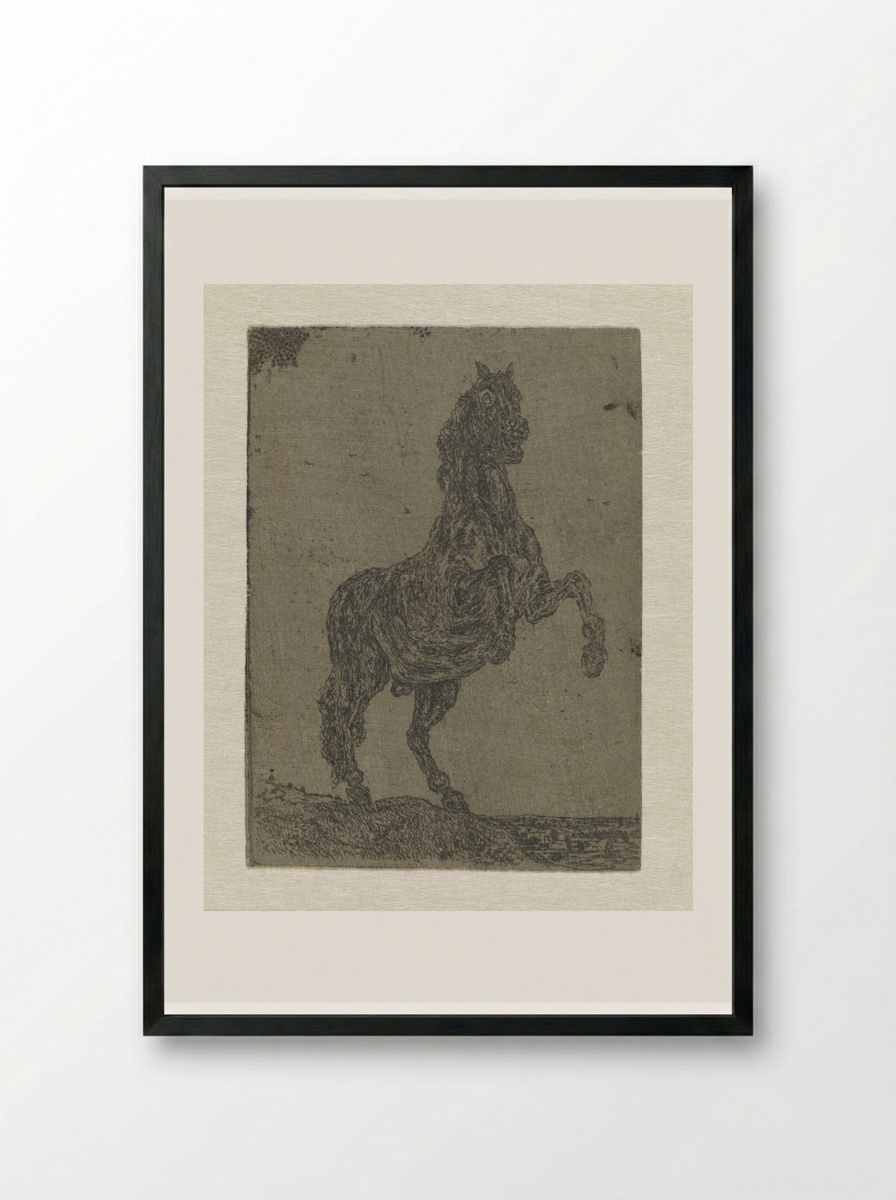 A Rearing Horse - Hercules Segers - Framed Print Black