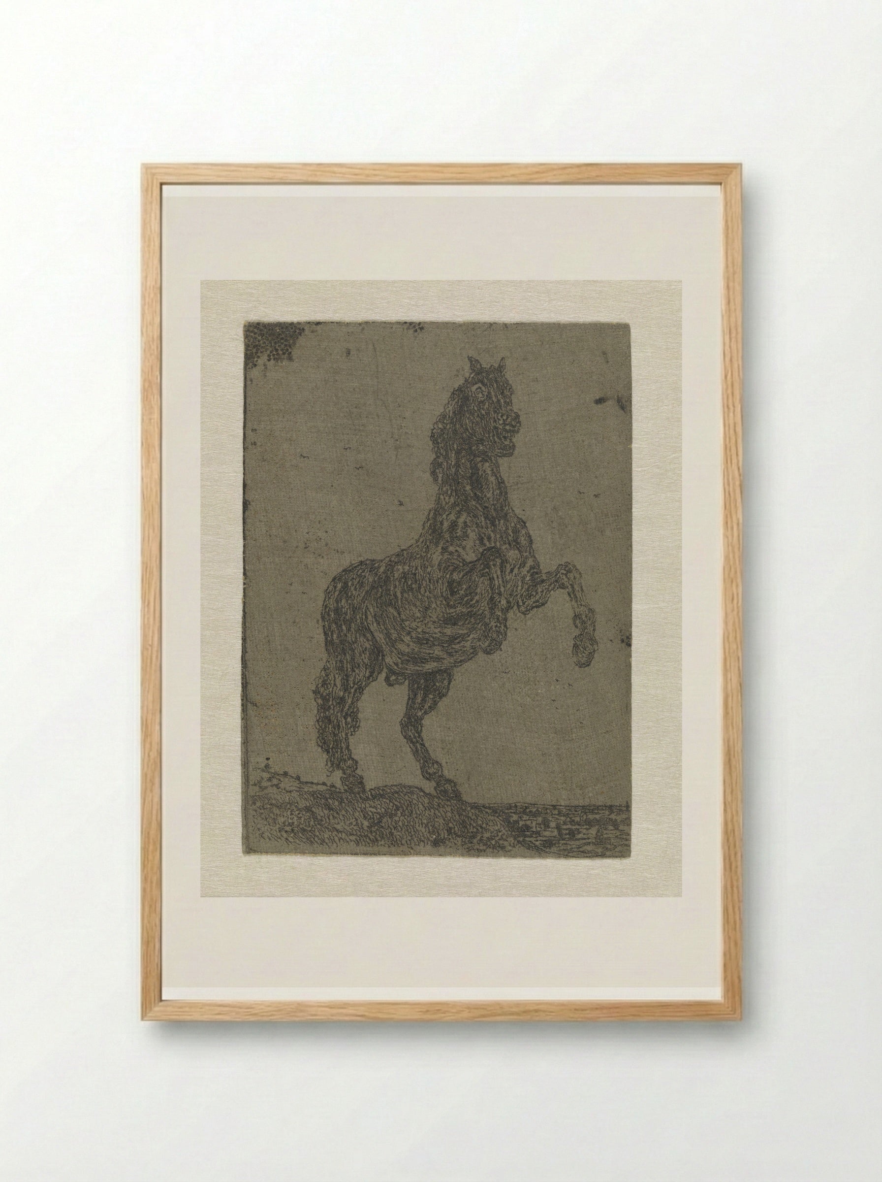 A Rearing Horse - Hercules Segers - Framed Print Wood