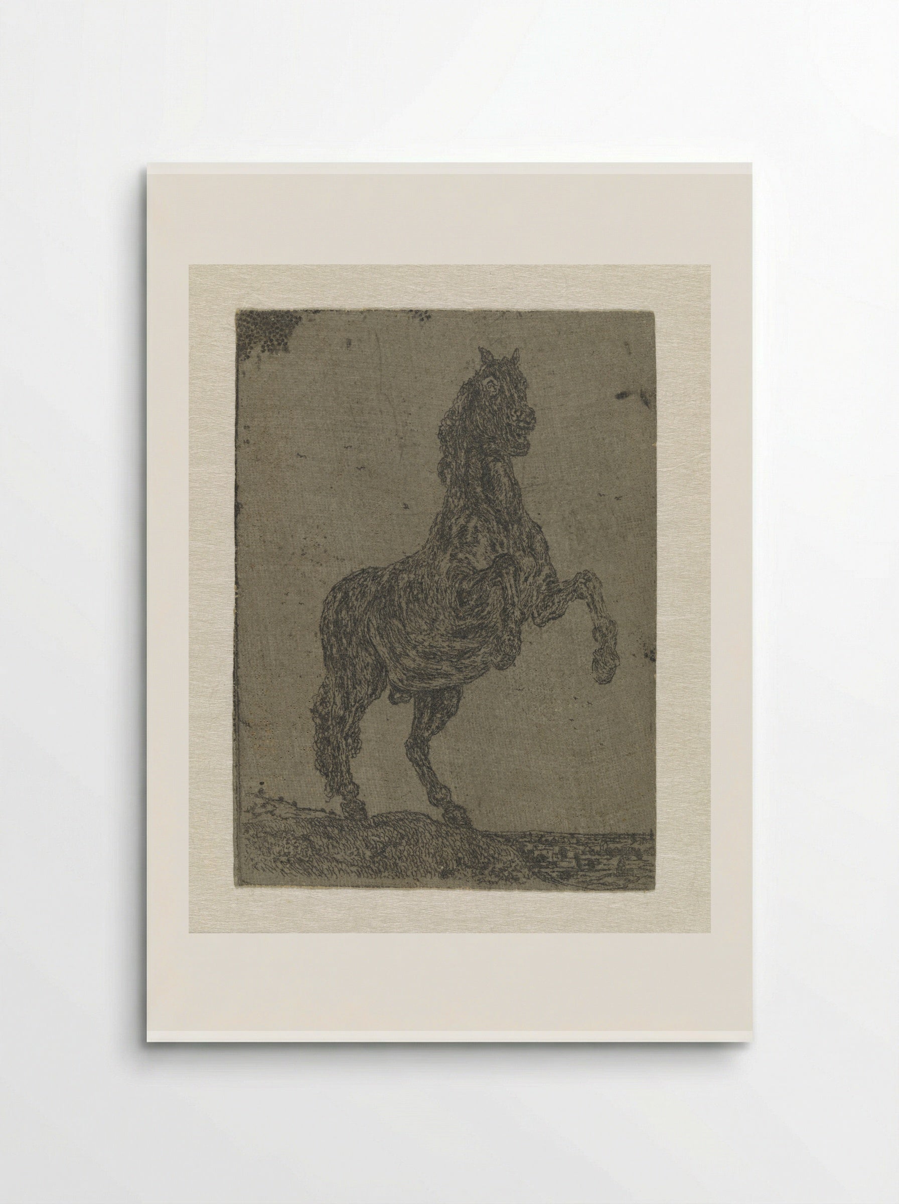 A Rearing Horse - Hercules Segers - Poster