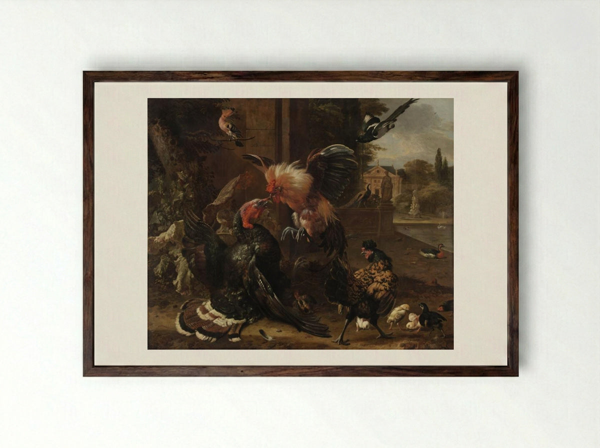 A Rooster and Turkey Fighting - Melchior de Hondecoeter - Framed Print Dark Wood