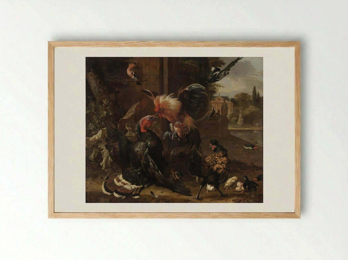 A Rooster and Turkey Fighting - Melchior de Hondecoeter - Framed Print Wood
