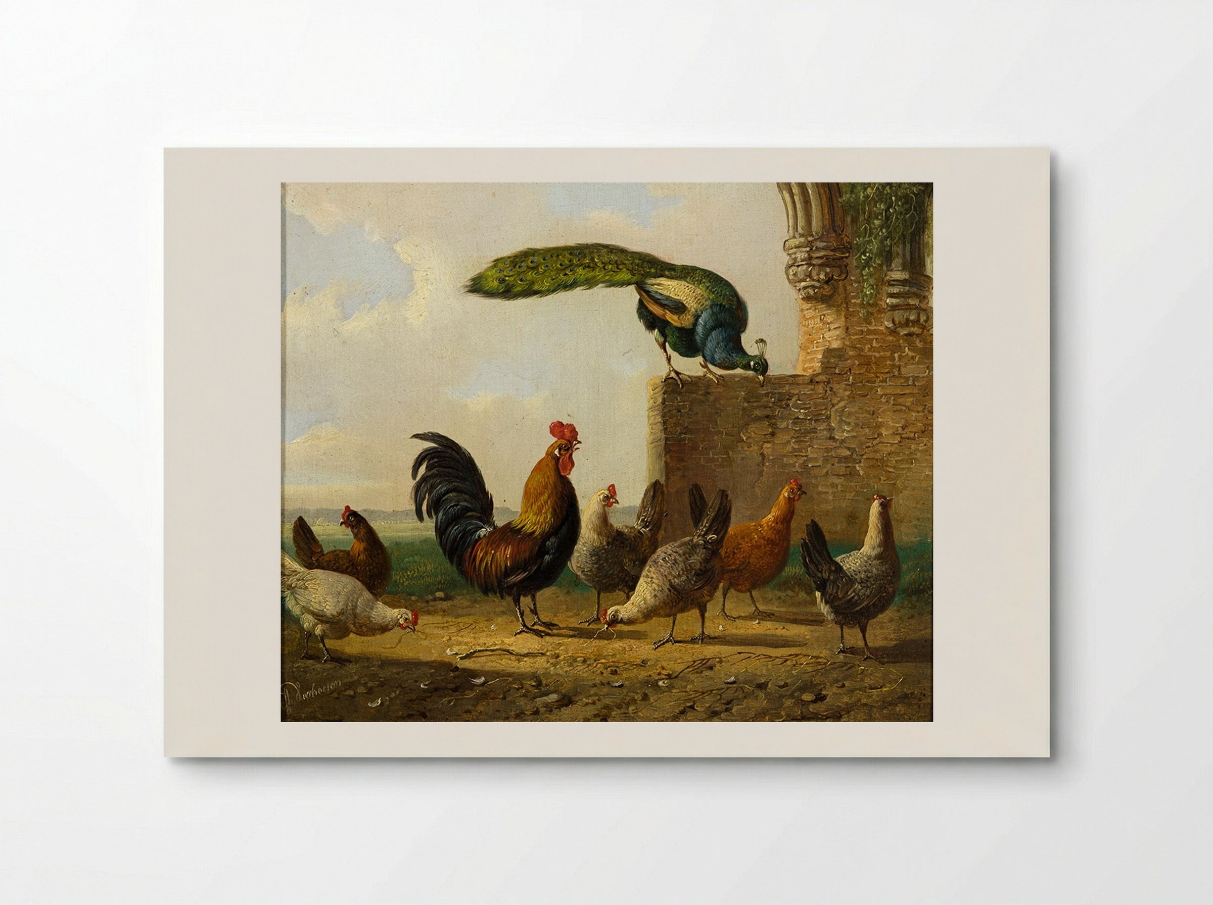 A Rooster with Hens and Chicks - Albertus Verhoesen - Poster