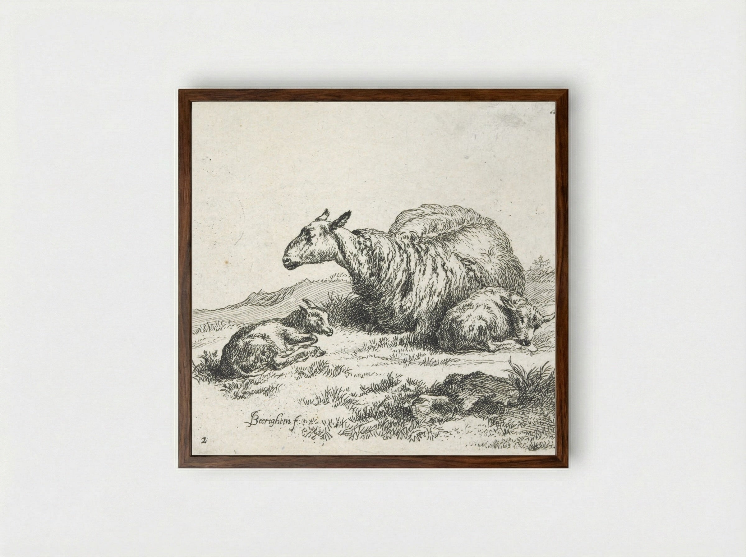 A Sheep and Kid - Nicolaes Berchem - Framed Print Dark Wood
