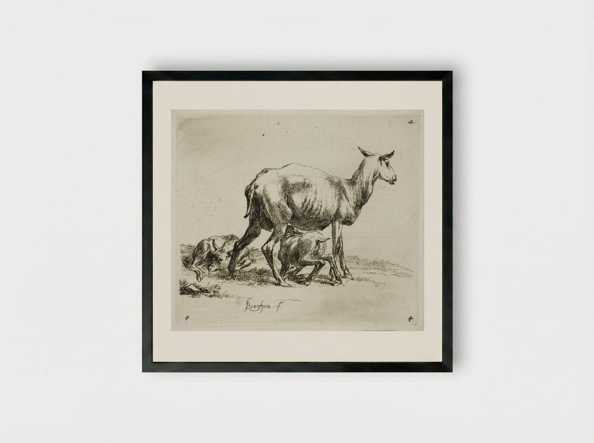 A Sheep and Two Kids - Nicolaes Berchem - Framed Print Black