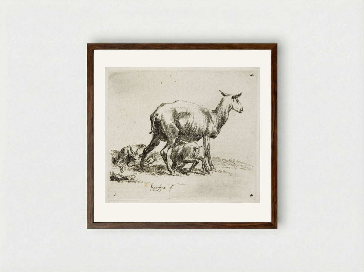 A Sheep and Two Kids - Nicolaes Berchem - Framed Print Dark Wood