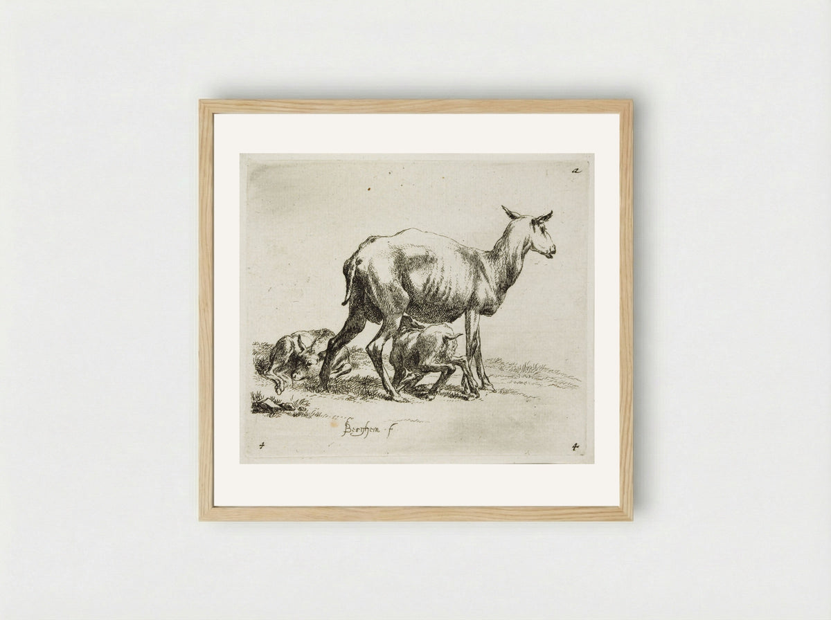 A Sheep and Two Kids - Nicolaes Berchem - Framed Print Wood
