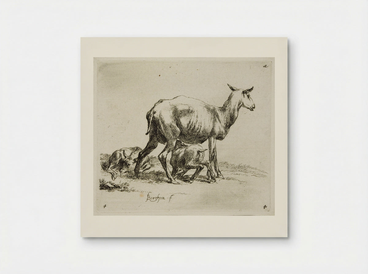 A Sheep and Two Kids - Nicolaes Berchem - Poster