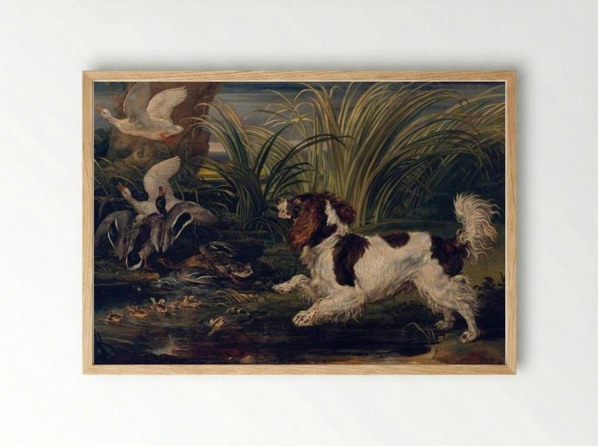 A Spaniel Frightening Ducks - James Ward - Framed Print Wood