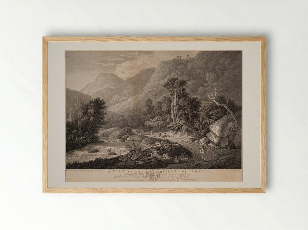 A View in the Island of Jamaica - Daniel Lerpinière - Framed Print Wood