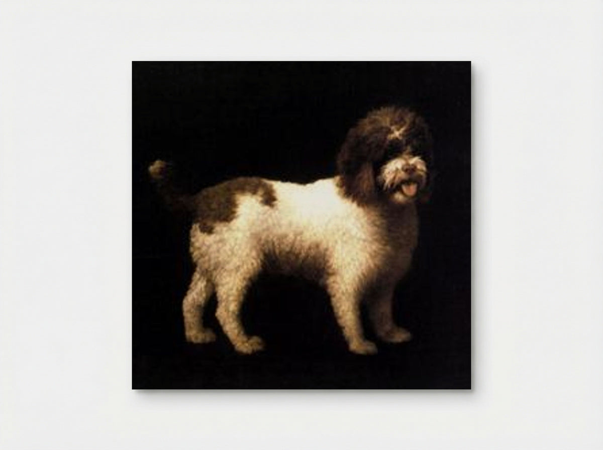 A Water Spaniel - George Stubbs - Poster