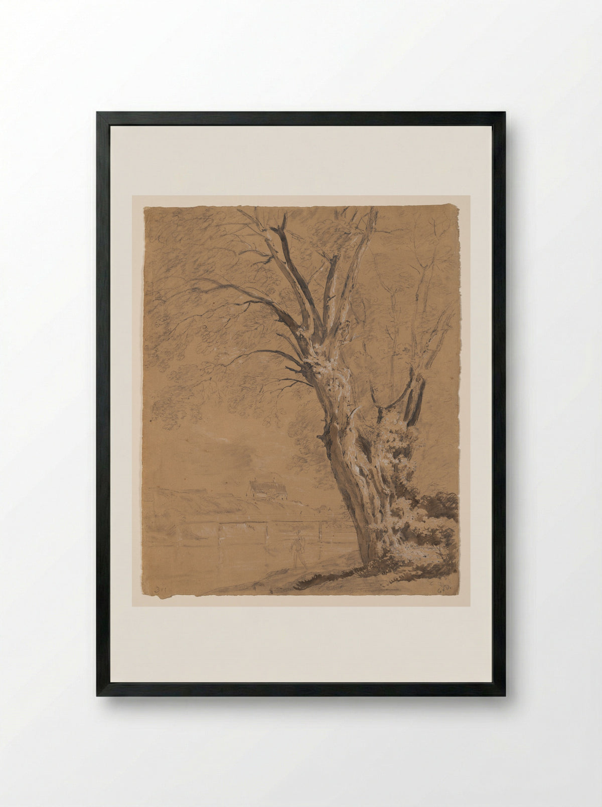 A Willow Tree on the Prater Island in Munich - Johann Georg von Dillis - Framed Print Black