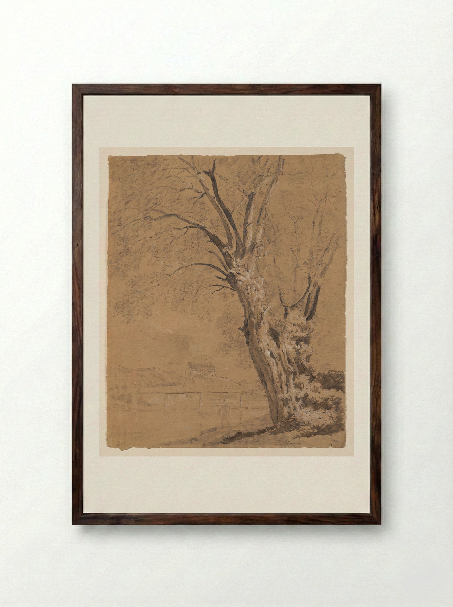 A Willow Tree on the Prater Island in Munich - Johann Georg von Dillis - Framed Print Dark Wood