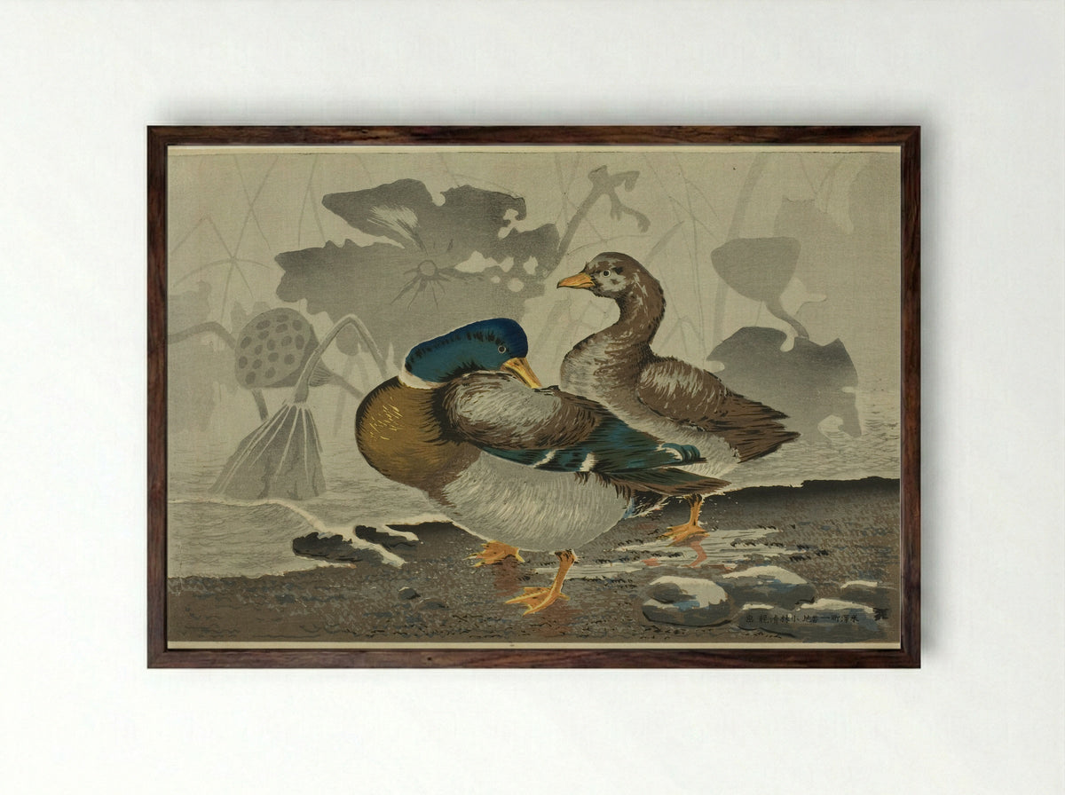 A pair of ducks by a lotus pond - Kobayashi Kiyochika - Framed Print Dark Wood