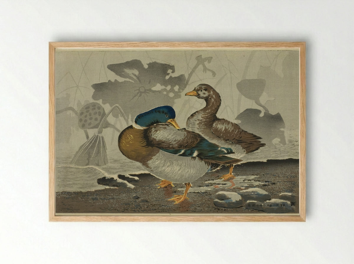 A pair of ducks by a lotus pond - Kobayashi Kiyochika - Framed Print Wood