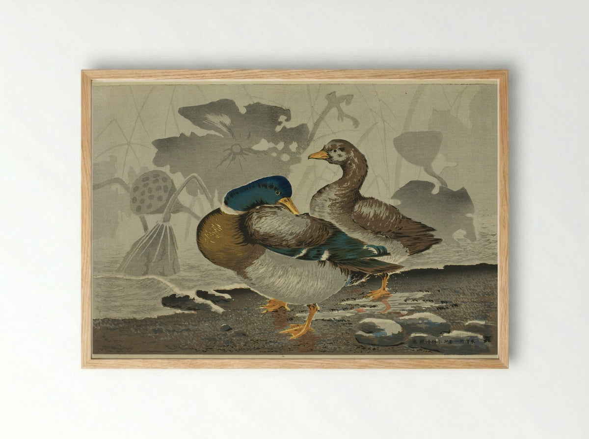 A pair of ducks by a lotus pond - Kobayashi Kiyochika - Framed Print Wood