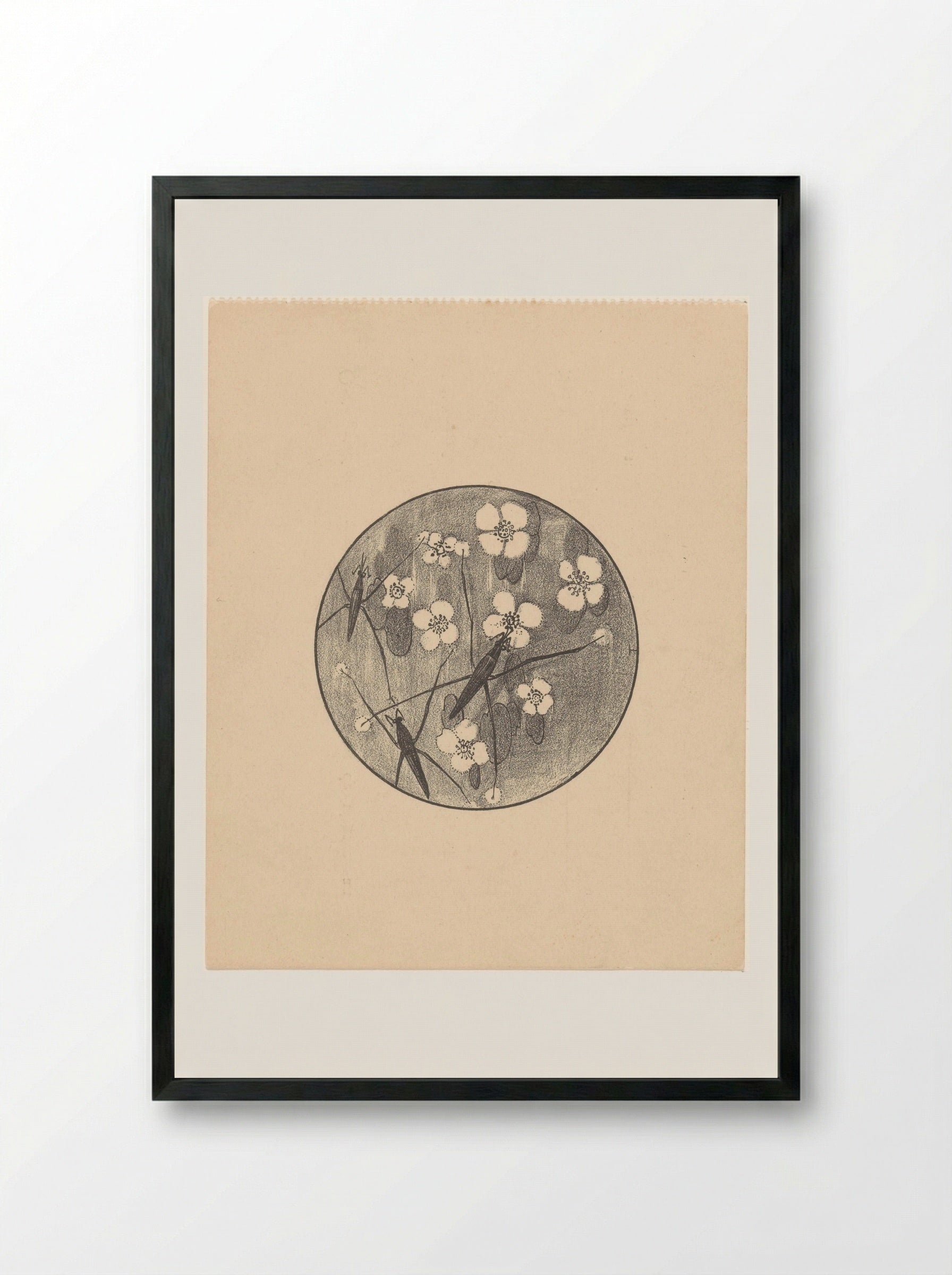 Aankondiging met insecten en bloemen voor serie 'Dierstudies' - Theo van Hoytema - Framed Print Black