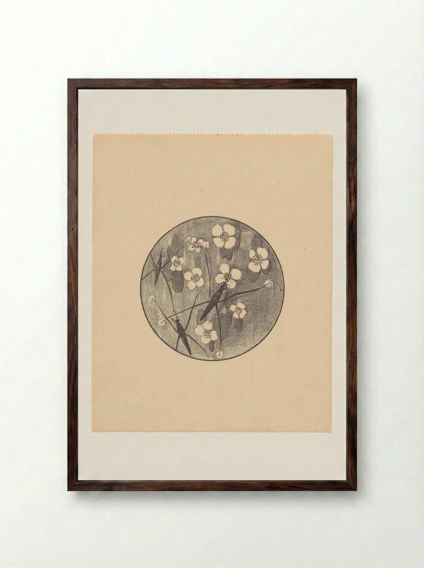 Aankondiging met insecten en bloemen voor serie 'Dierstudies' - Theo van Hoytema - Framed Print Dark Wood