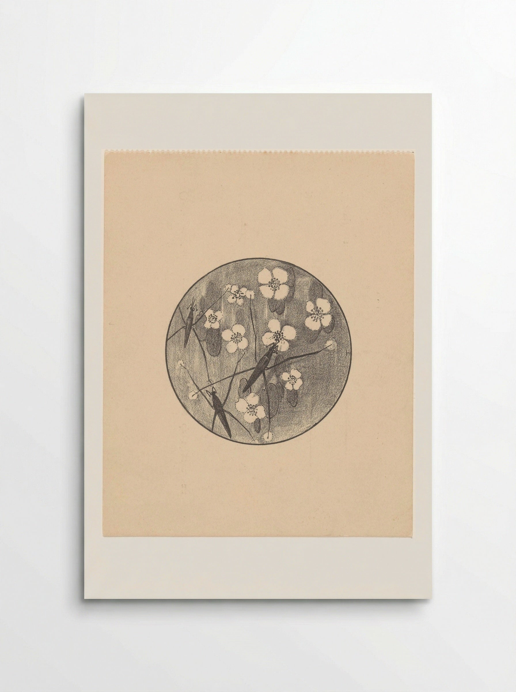 Aankondiging met insecten en bloemen voor serie 'Dierstudies' - Theo van Hoytema - Poster