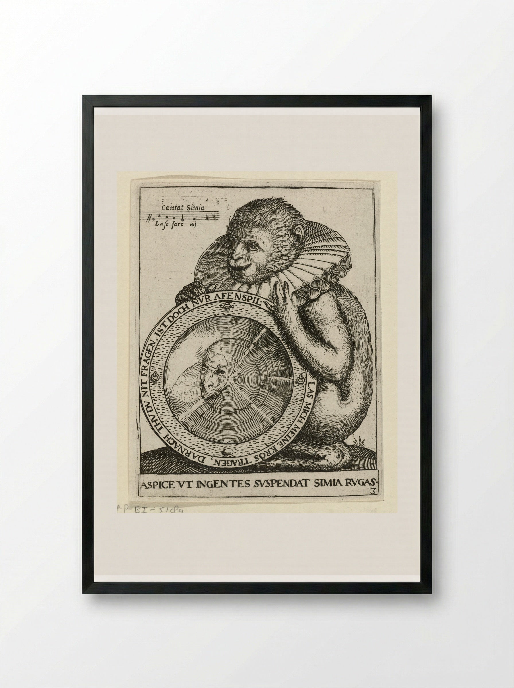 Aap met spiegel (Monkey with a Mirror) - Johann Theodor de Bry - Framed Print Black
