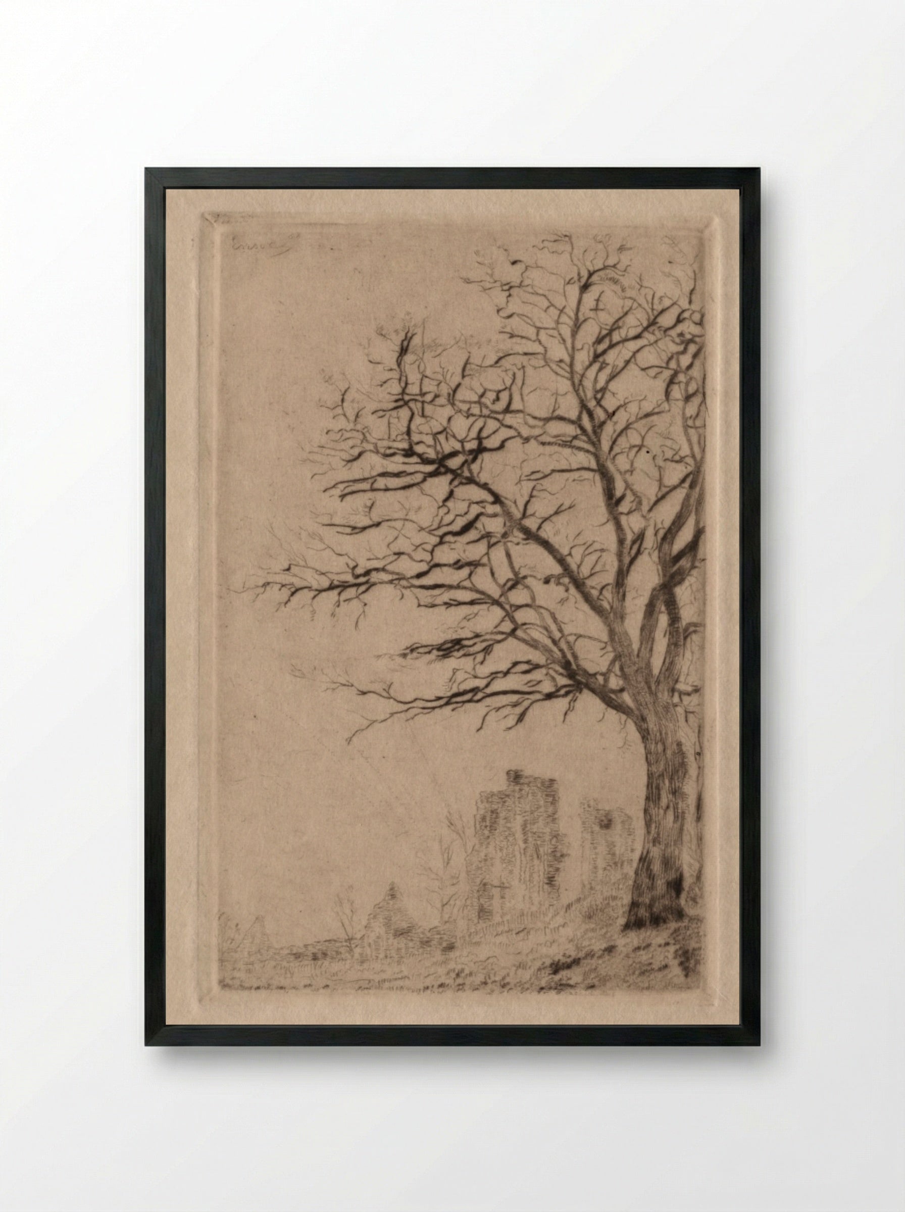 Acacia - James Ensor - Framed Print Black