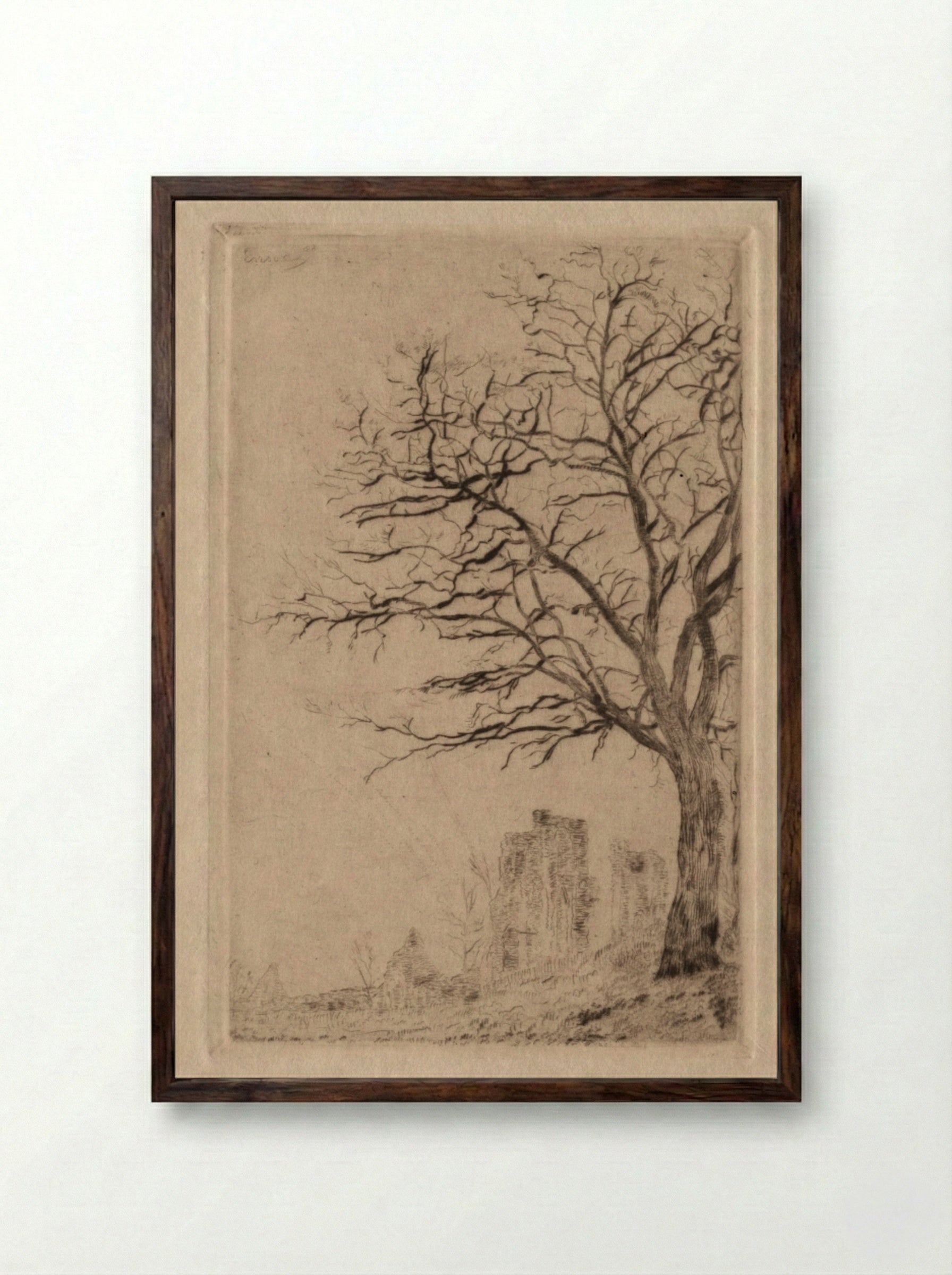 Acacia - James Ensor - Framed Print Dark Wood
