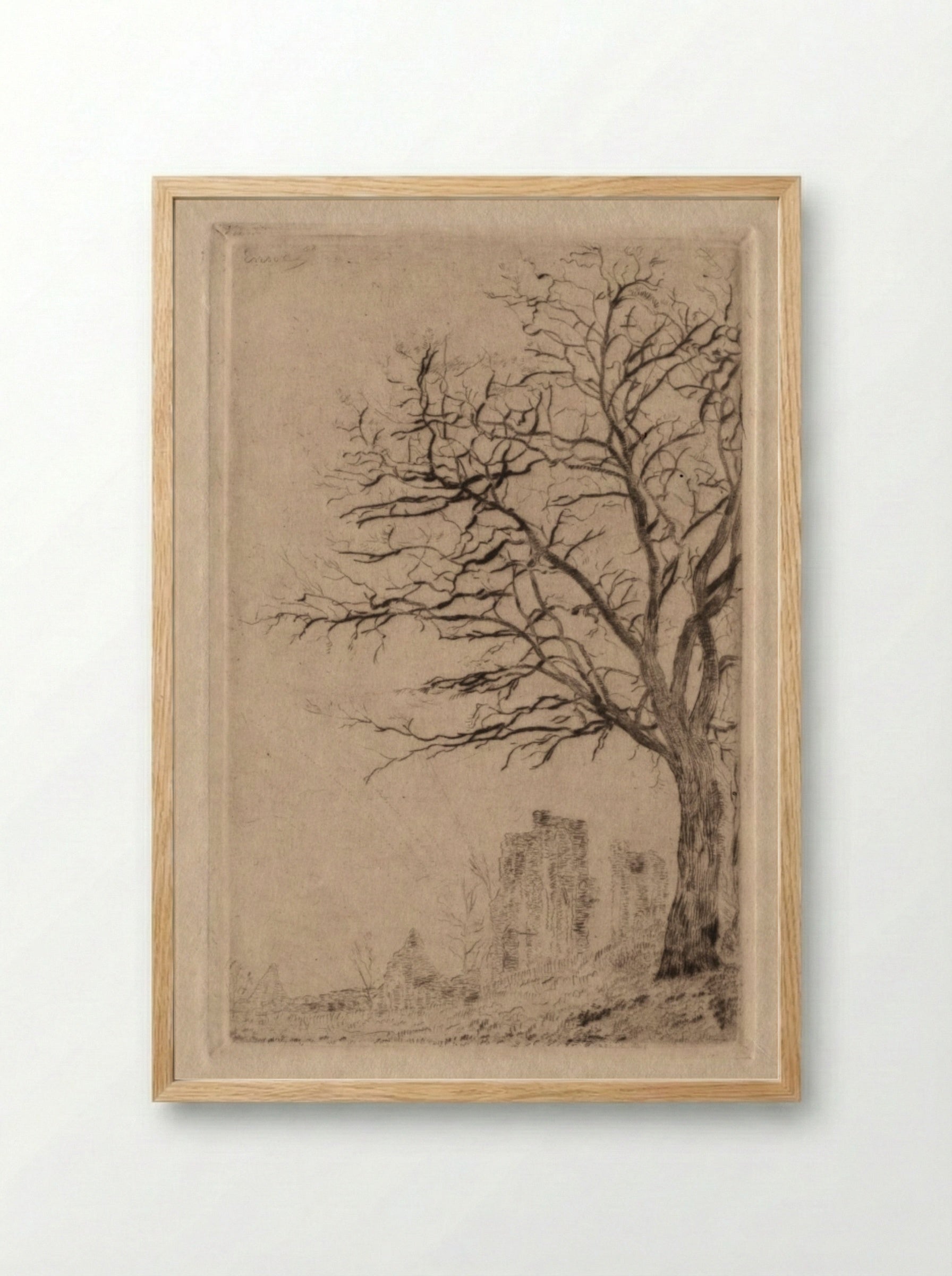 Acacia - James Ensor - Framed Print Wood
