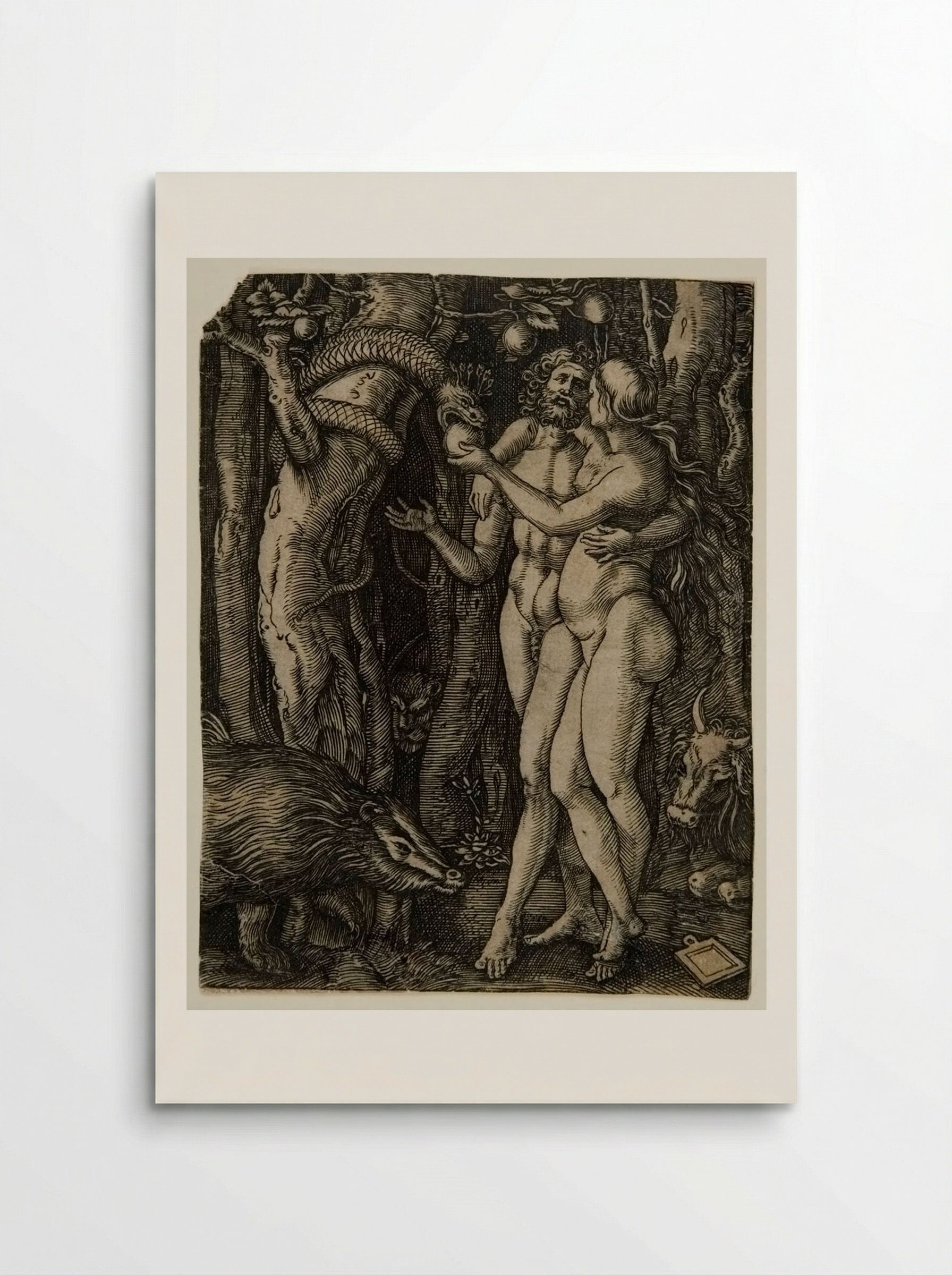 Adam and Eve Taking the Apple from the Serpent - Marcantonio Raimondi - Poster