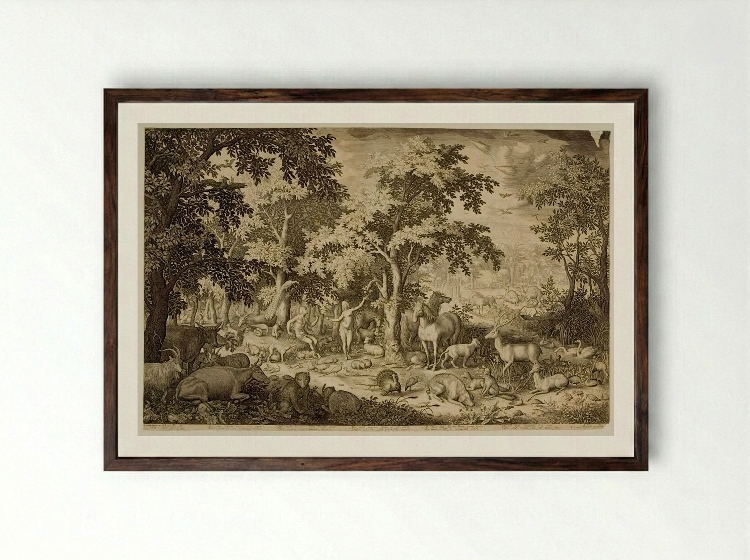 Adam and Eve in the Garden of Eden - Boetius Adamsz. Bolswert - Framed Print Dark Wood