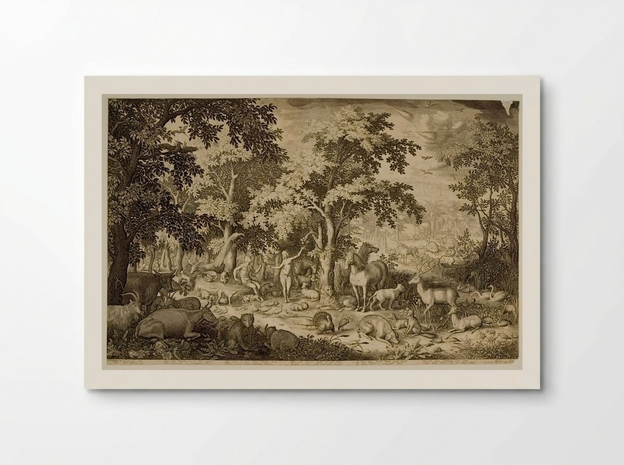 Adam and Eve in the Garden of Eden - Boetius Adamsz. Bolswert - Poster