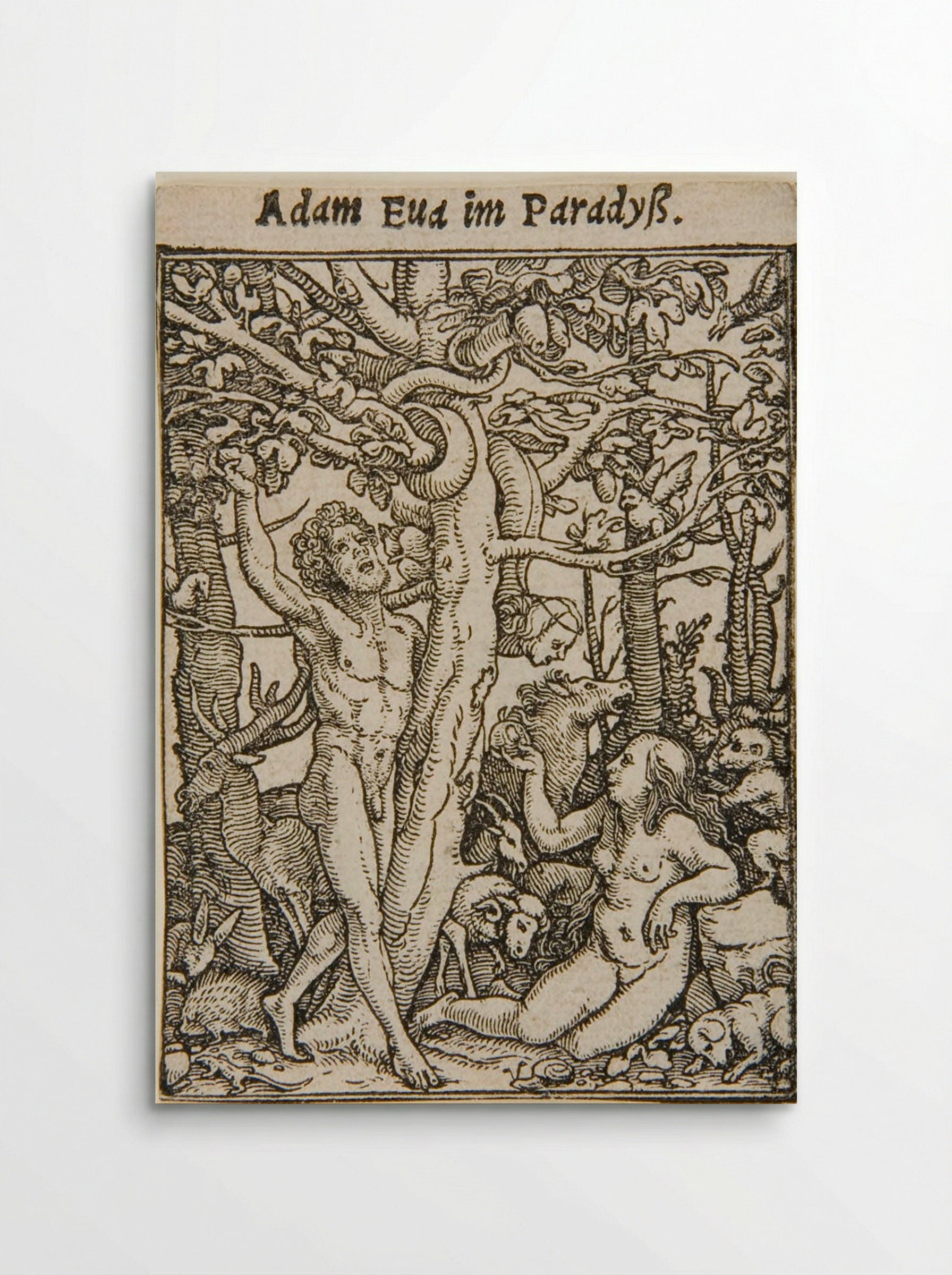 Adam and Eve in the Garden of Eden - Hans Holbein the Younger - Poster